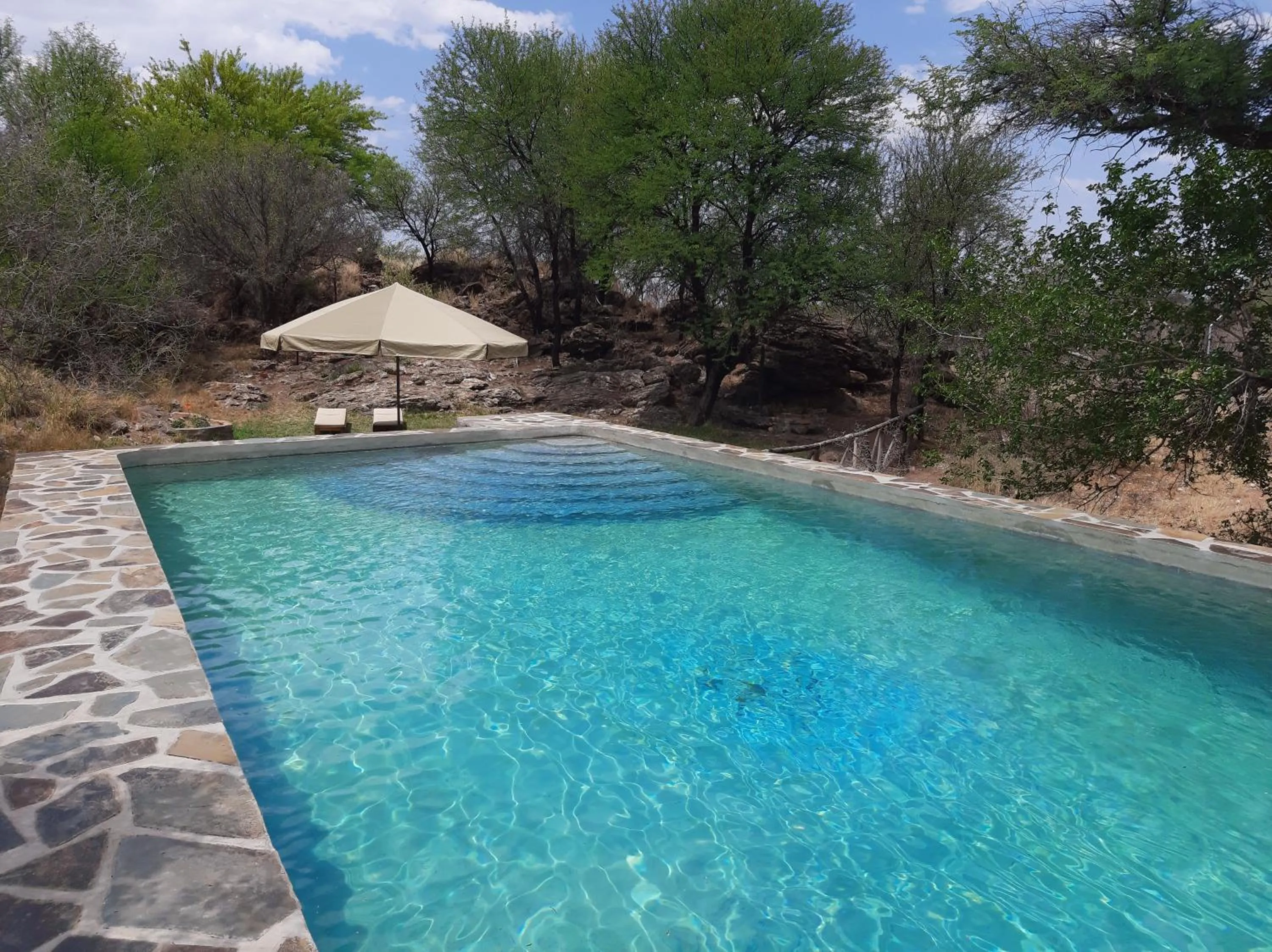 Swimming pool in Hohewarte Guestfarm