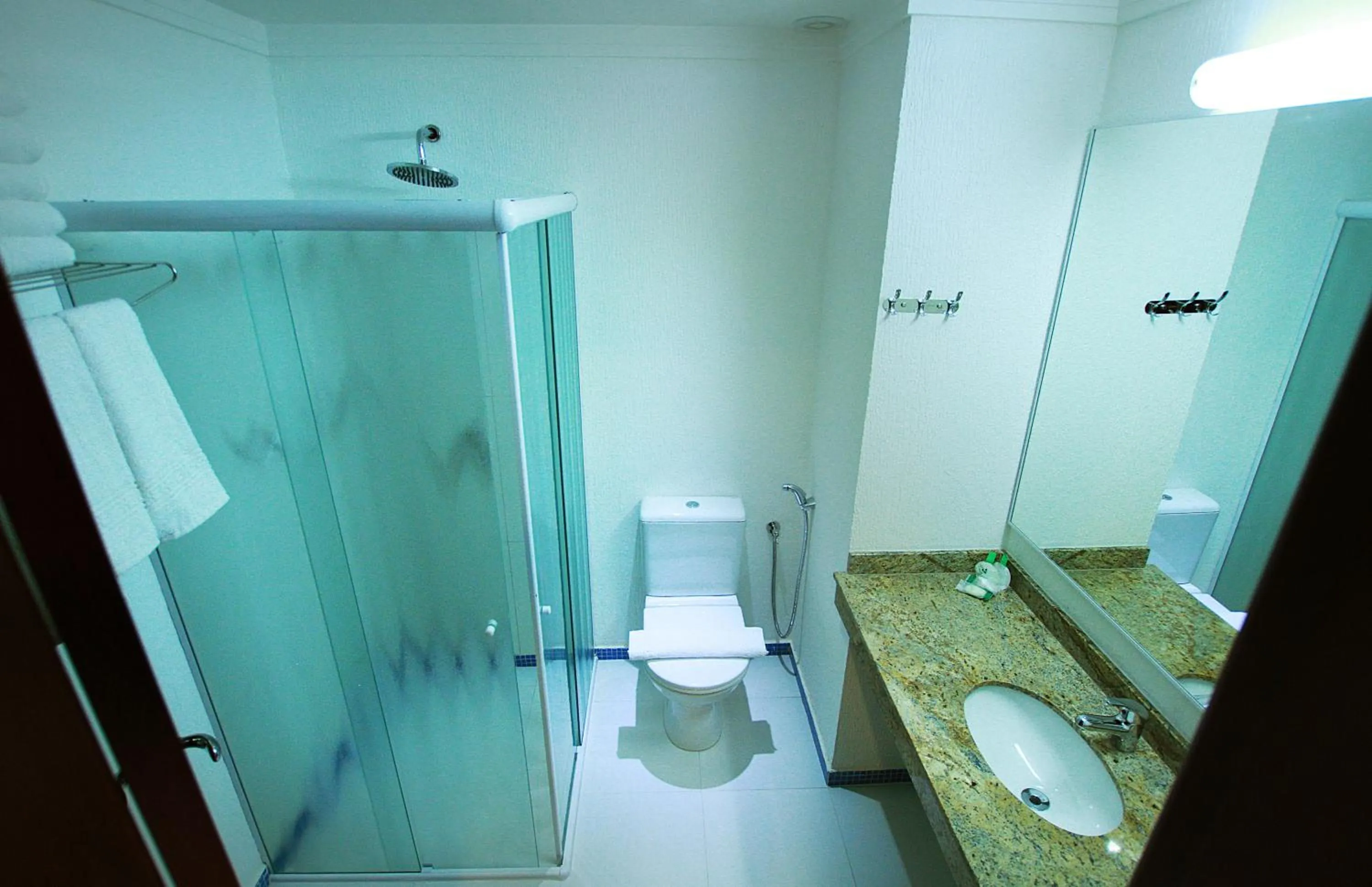 Shower in Hotel Bogari