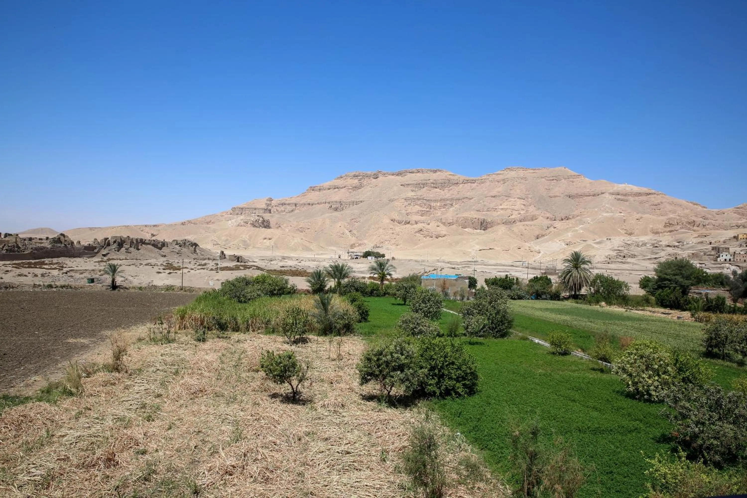 Natural landscape in Sharqotel Luxor