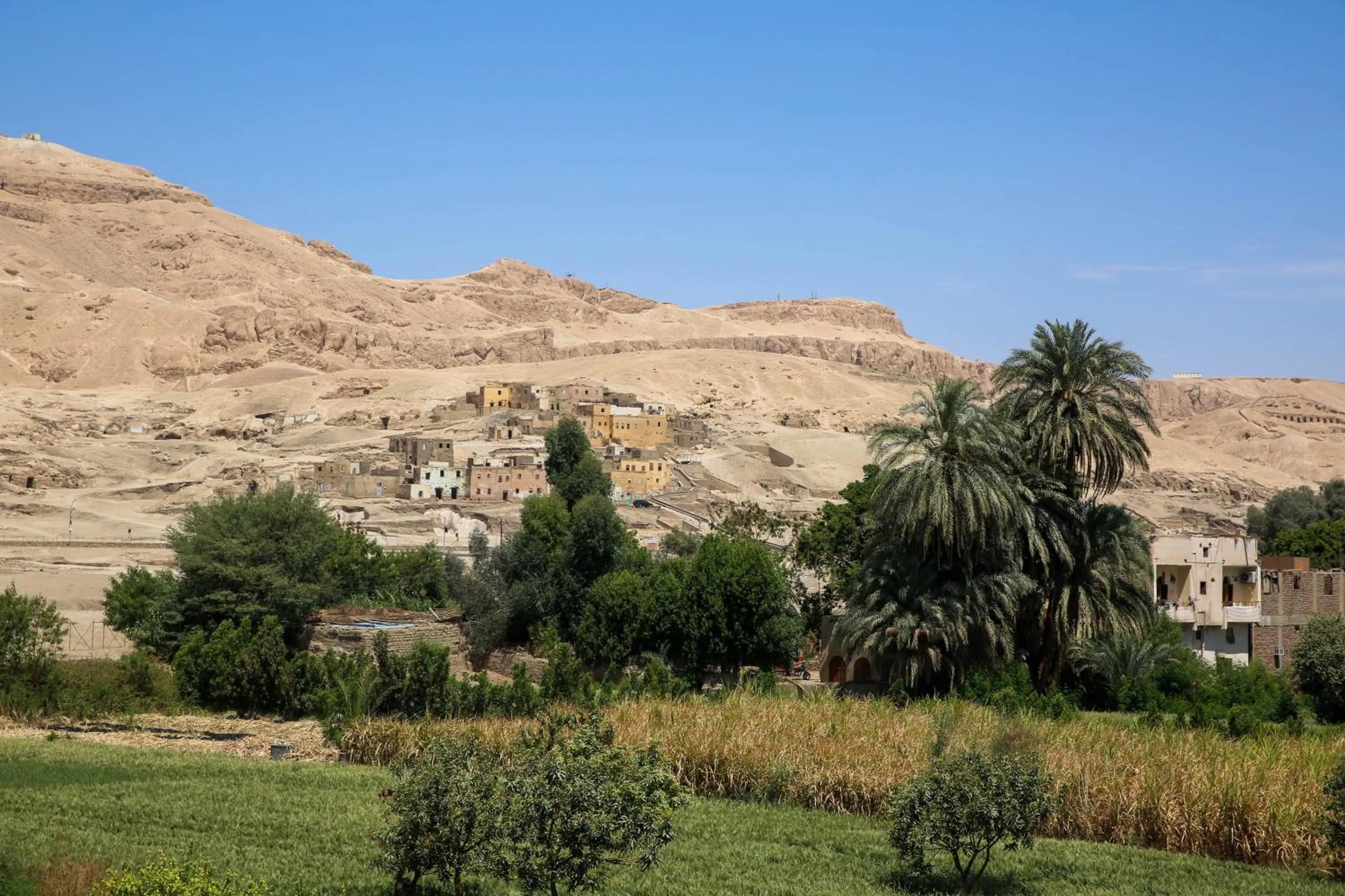 Natural landscape in Sharqotel Luxor