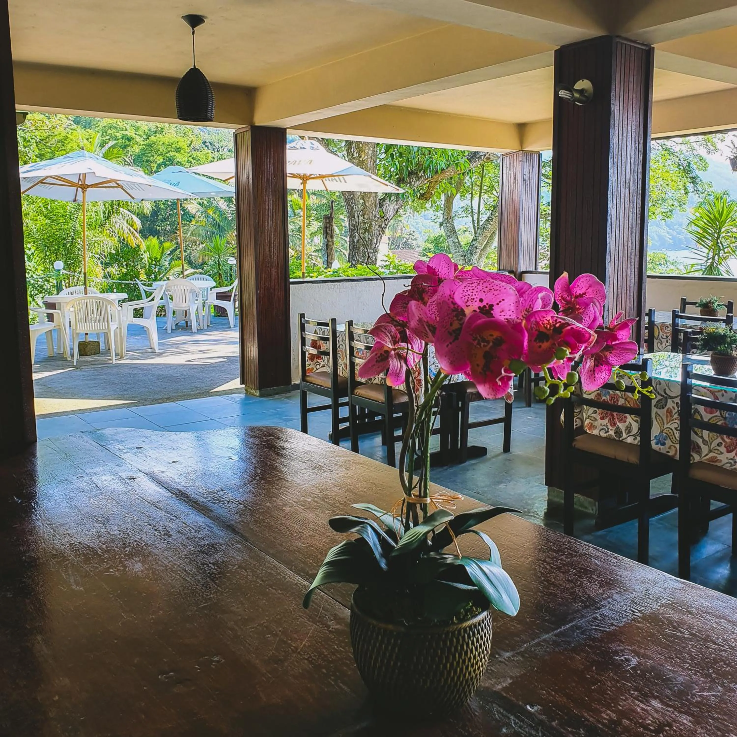 Restaurant/places to eat in Pousada Três Coqueiros