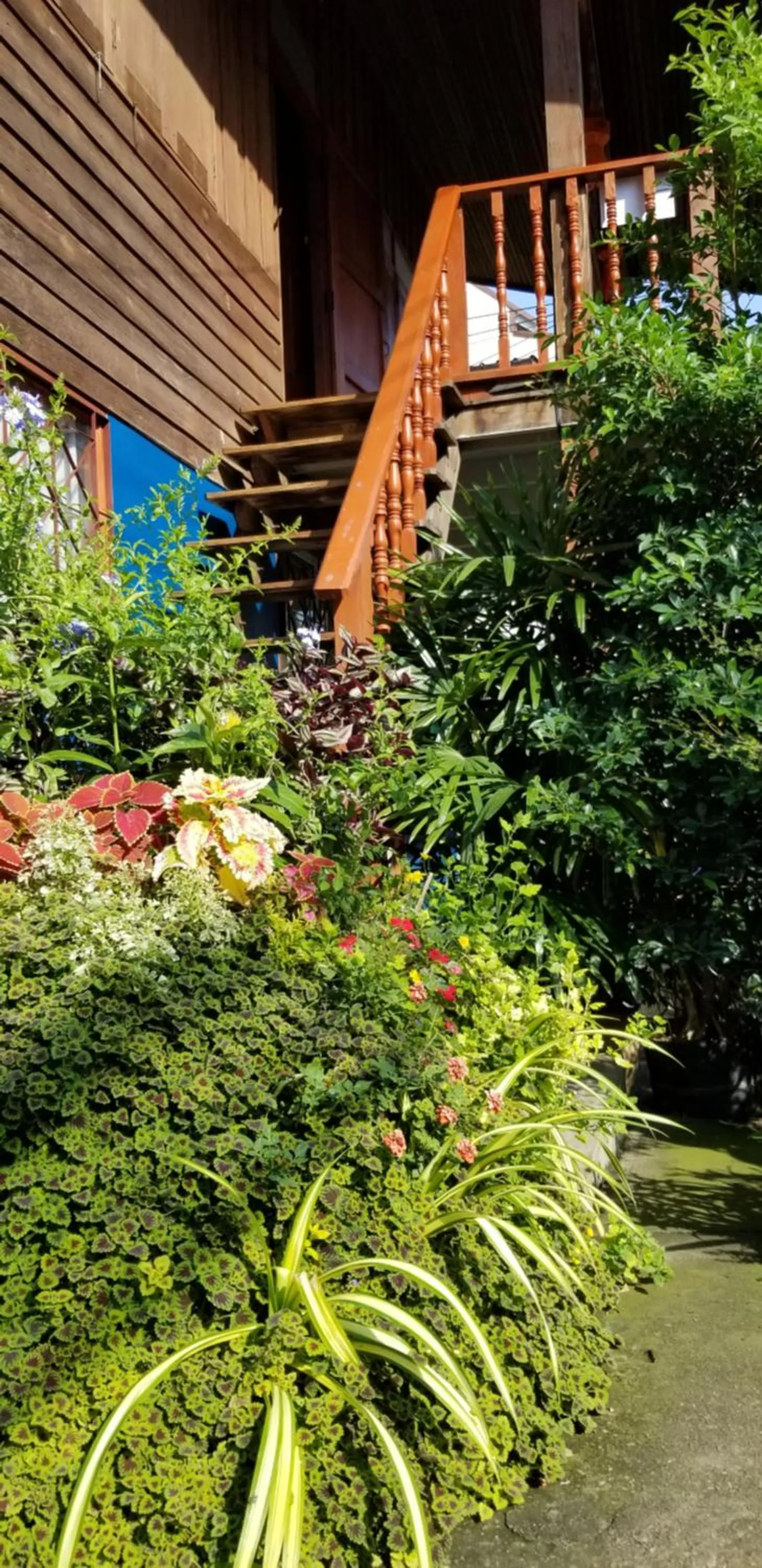 Balcony/Terrace in Siriwan Hostel