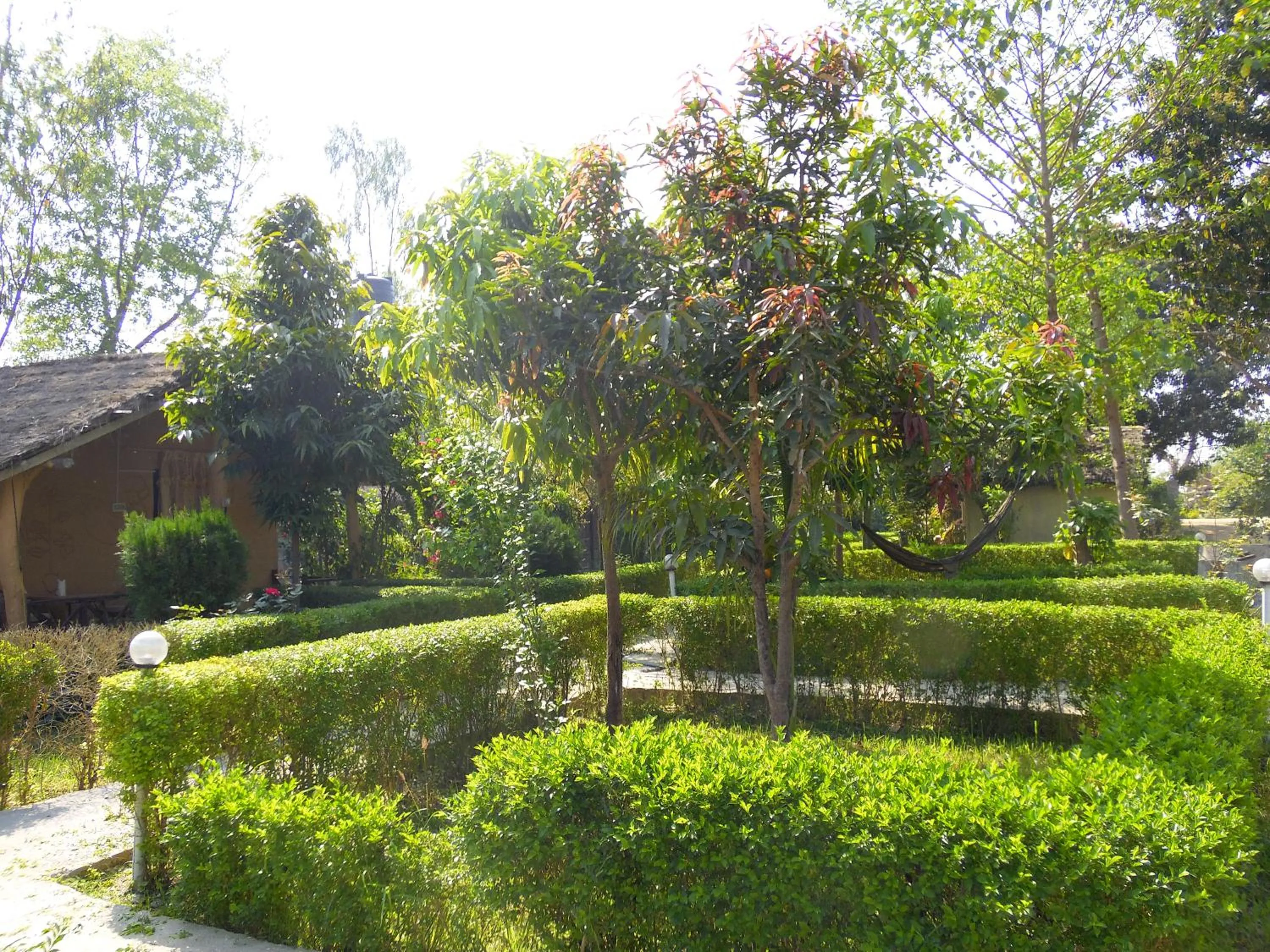 Garden in Bardia Kingfisher Resort