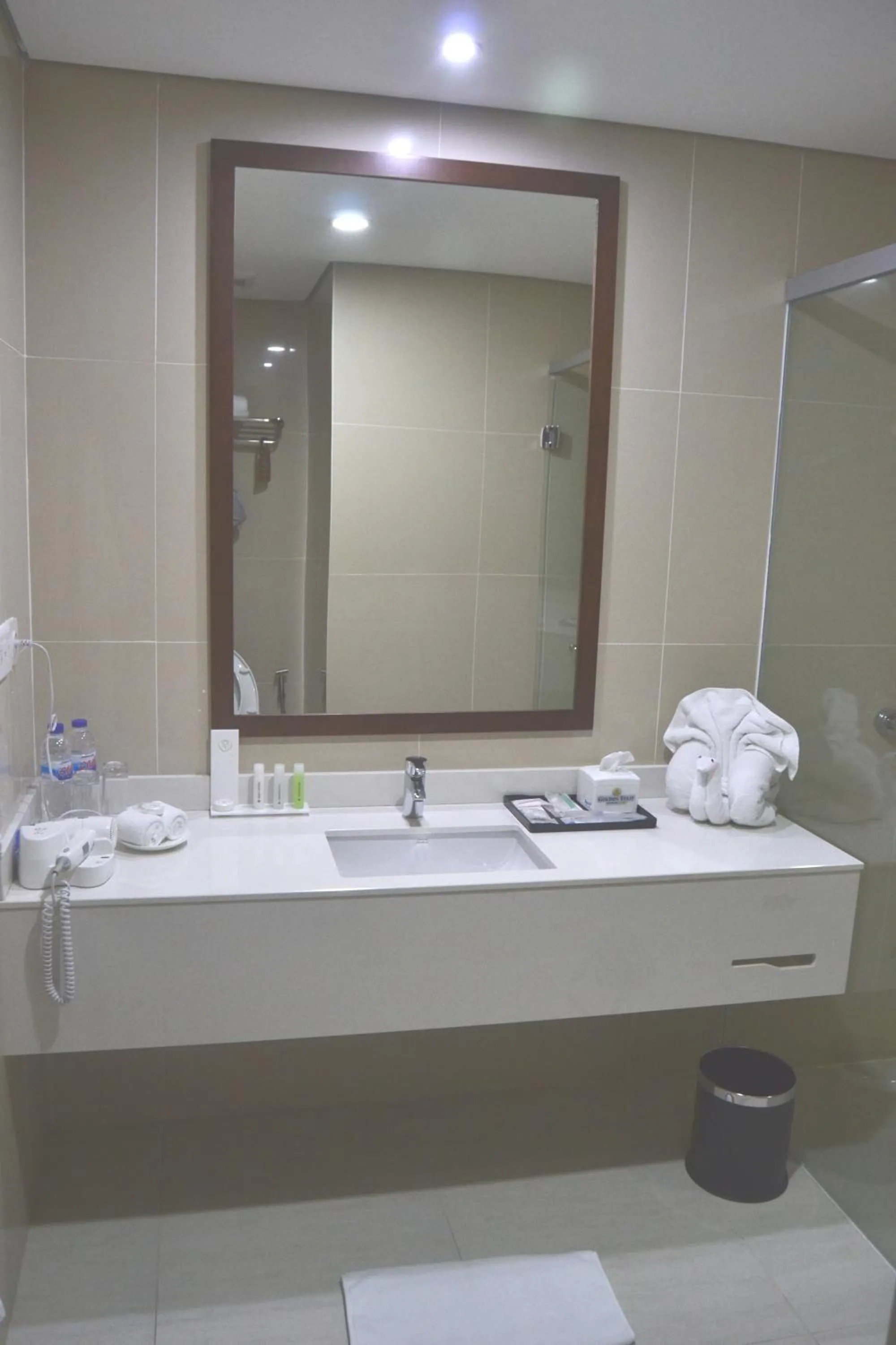 Bathroom in Golden Tulip Pontianak