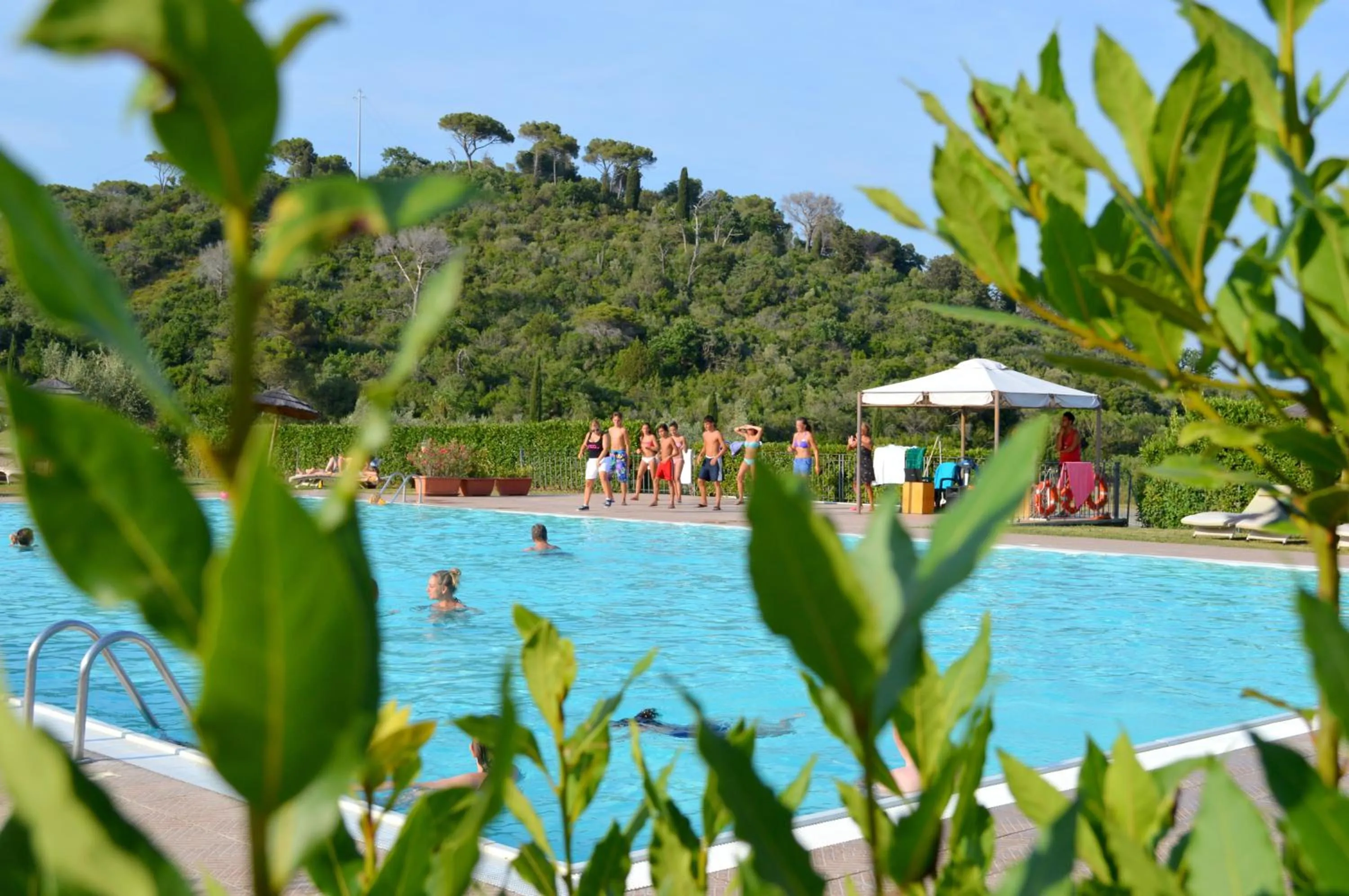 Swimming pool in Le Corti Di Montepitti
