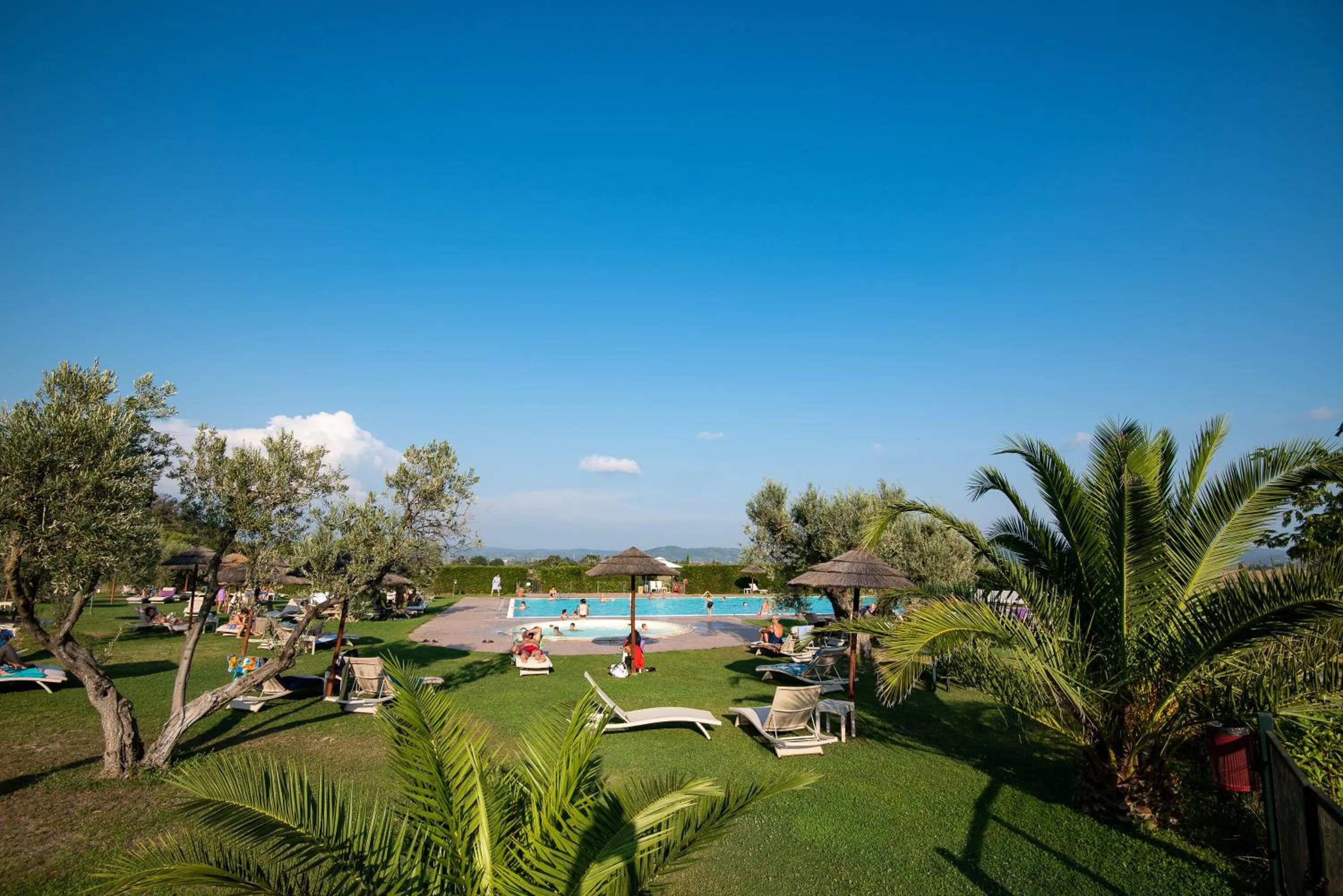 Pool view in Le Corti Di Montepitti