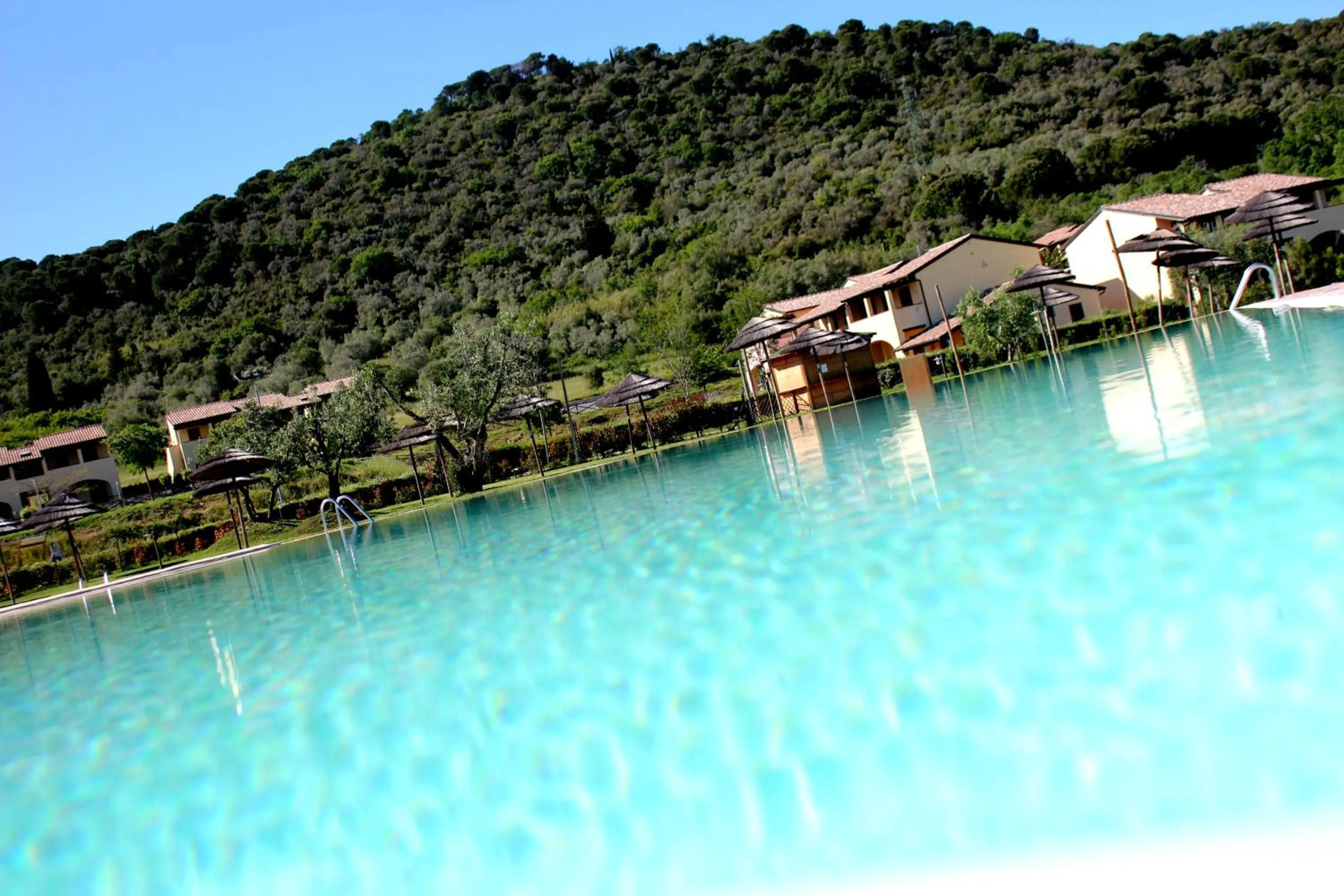 Pool view in Le Corti Di Montepitti