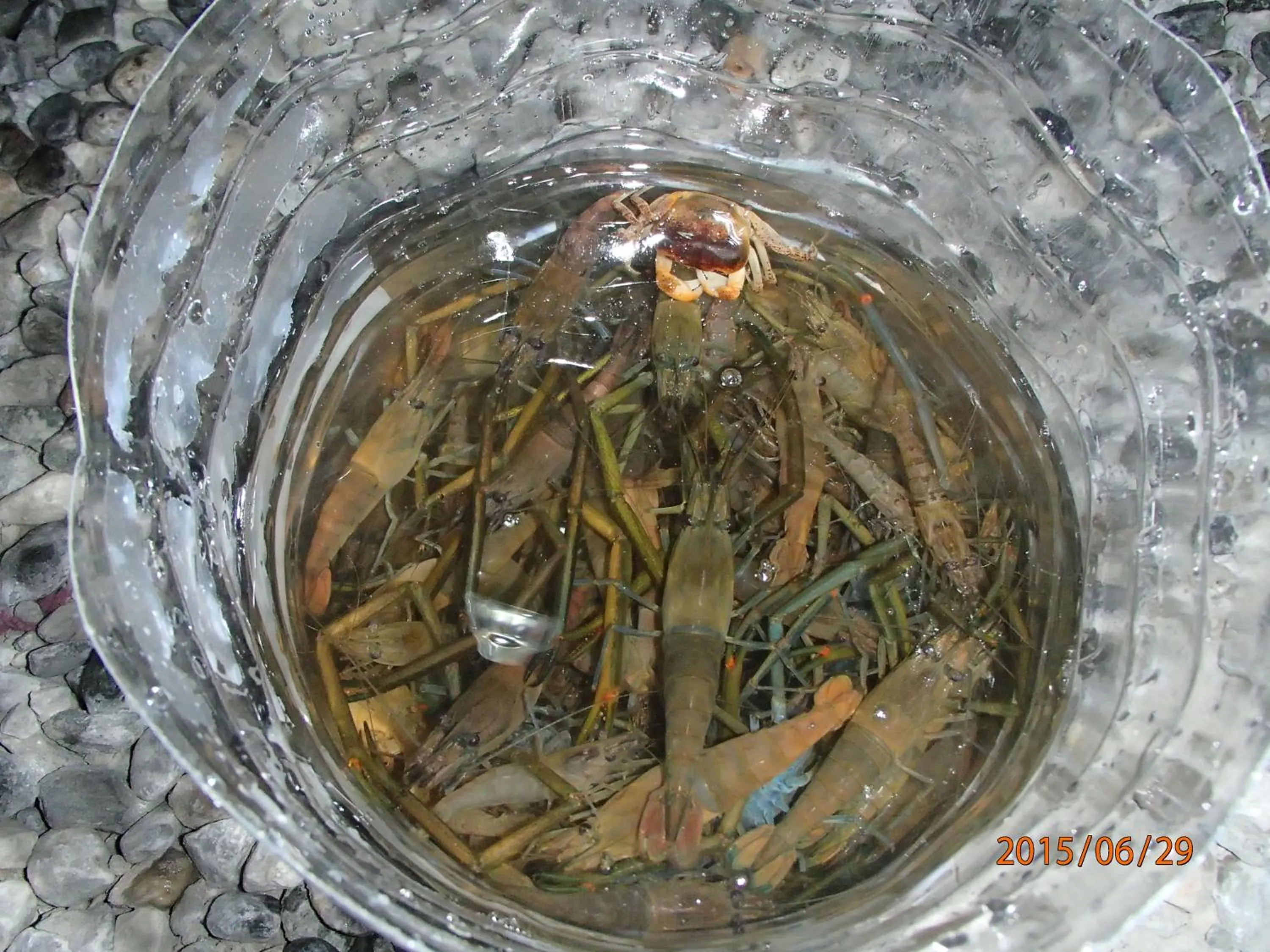 Activities in Love Hualien Hostel