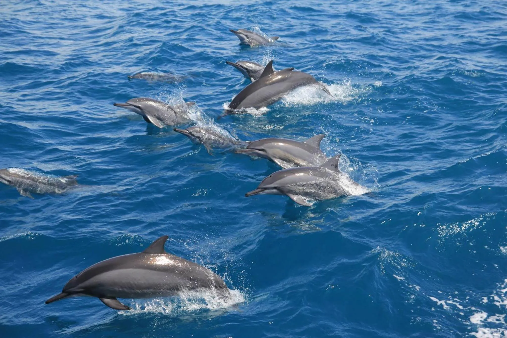 Activities in Love Hualien Hostel