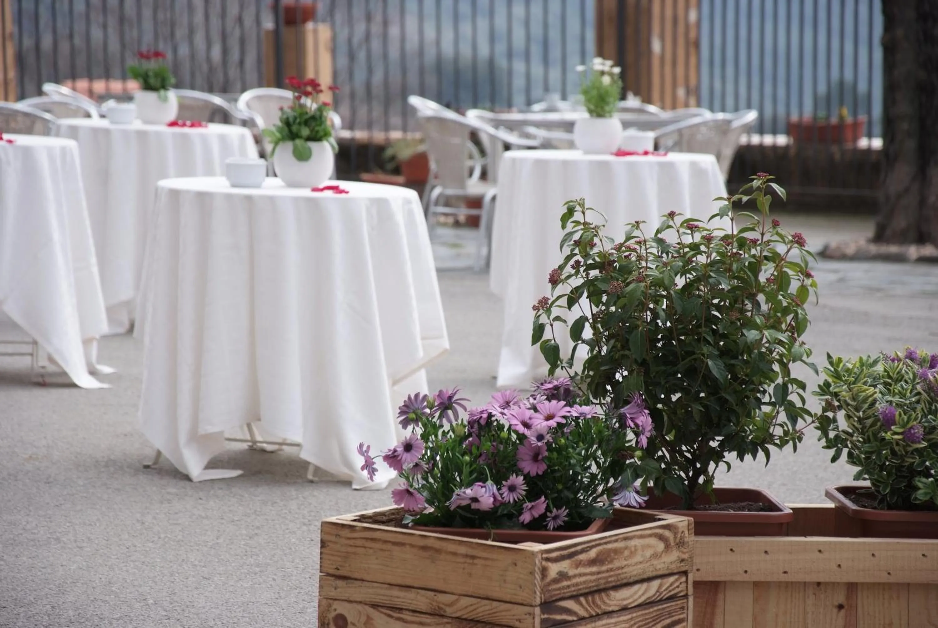 Off site in Hostal Montserrat