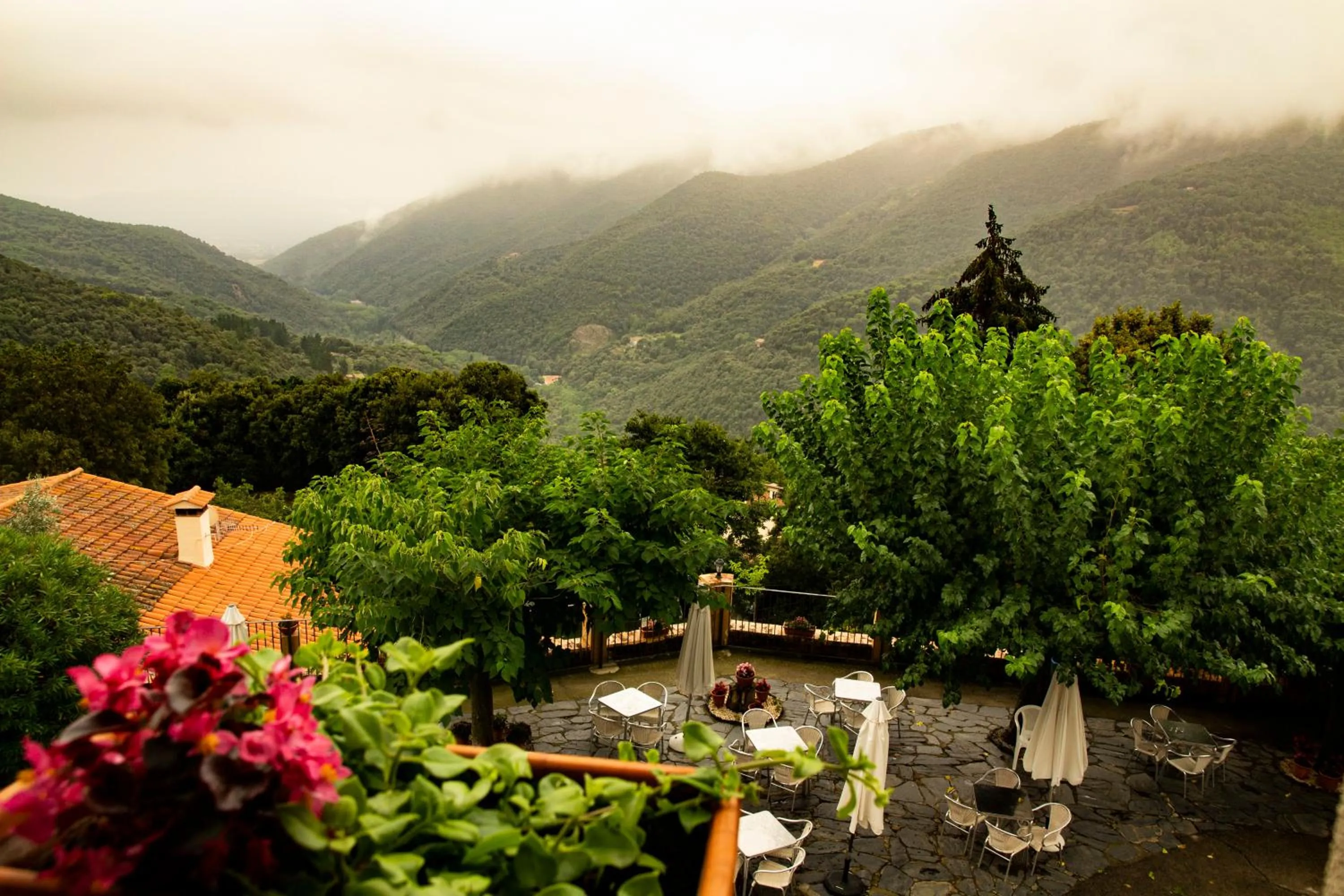 Natural landscape in Hostal Montserrat