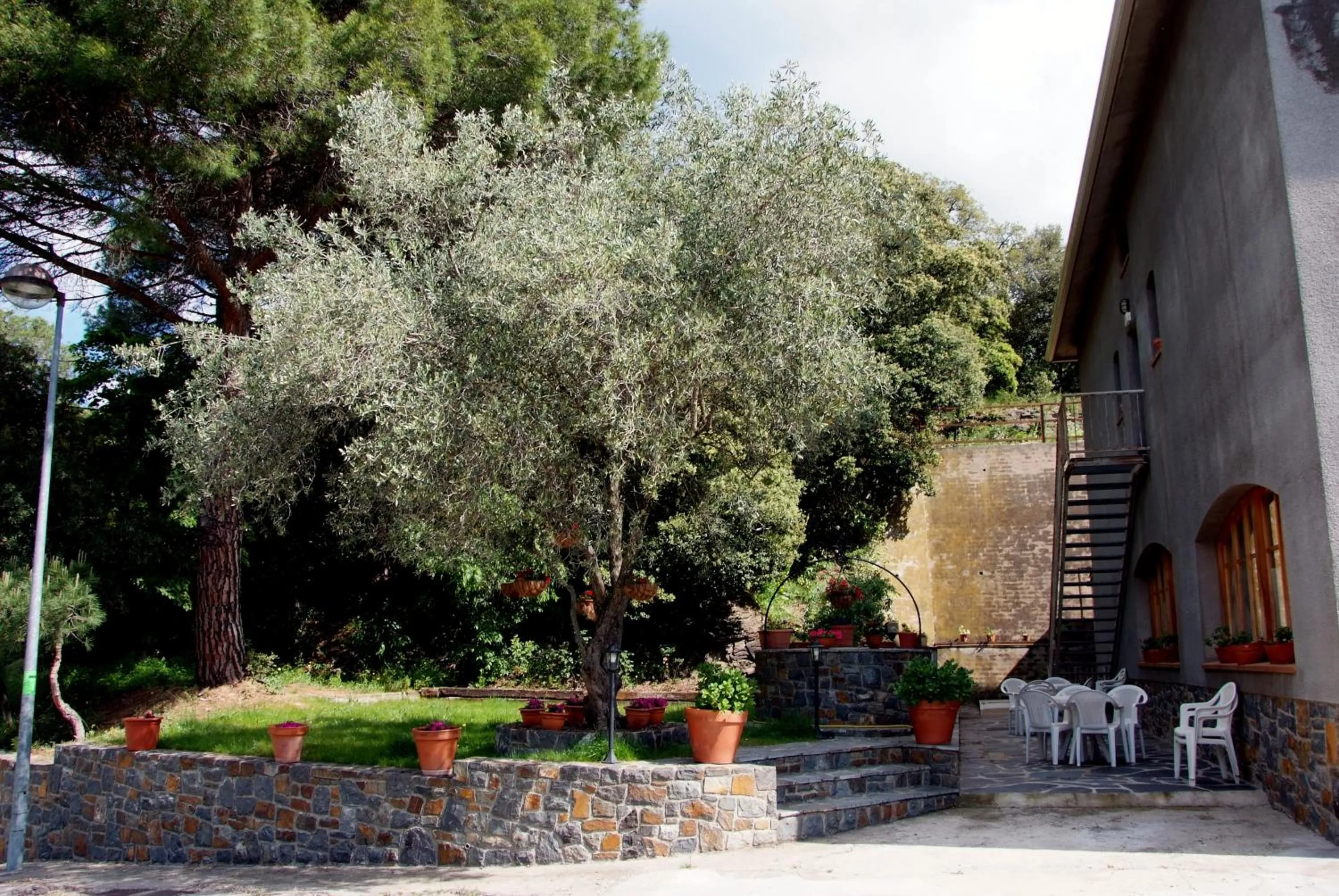 Patio in Hostal Montserrat