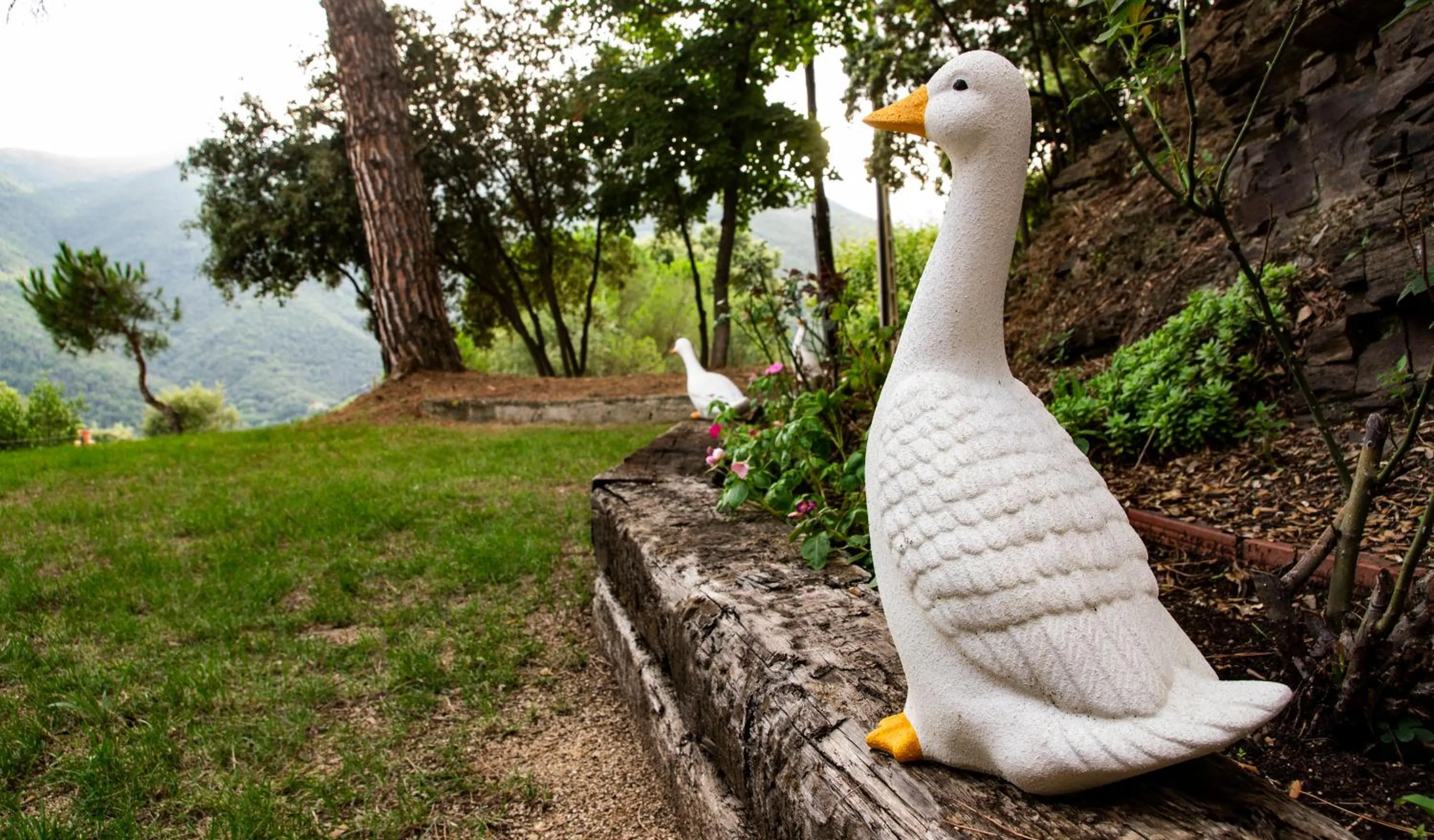 Off site in Hostal Montserrat