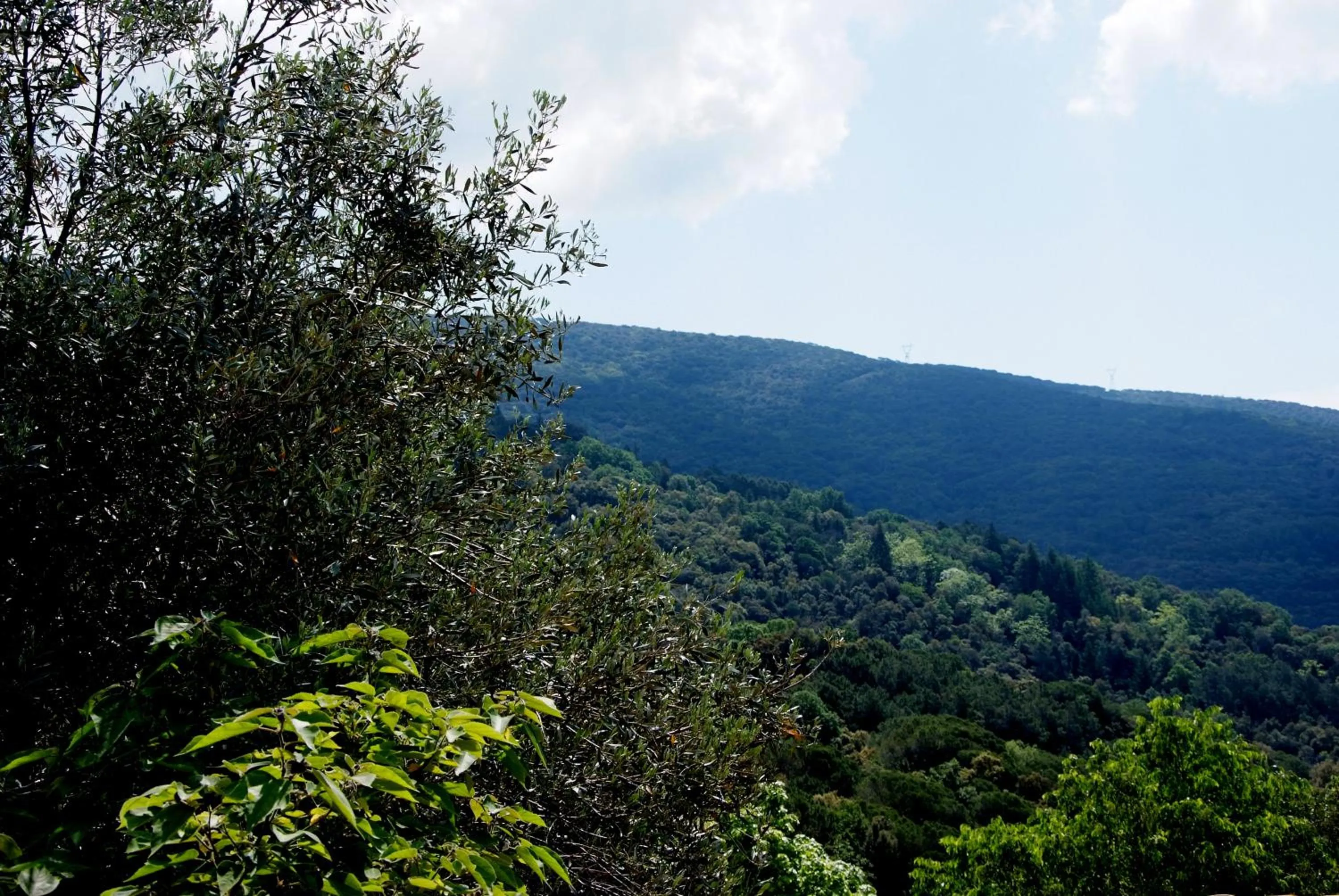 Natural landscape in Hostal Montserrat