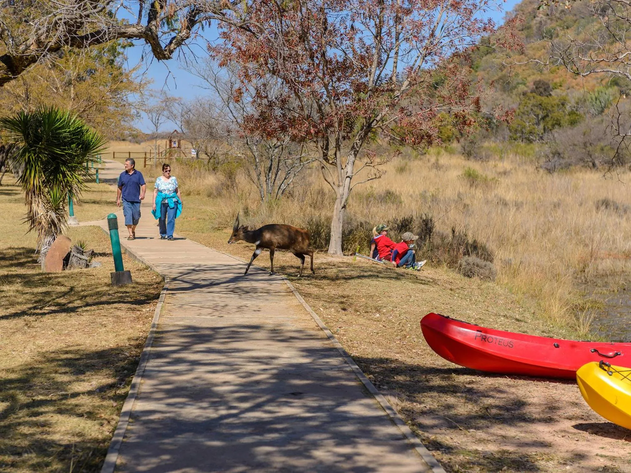 Other in Waterberg Game Park