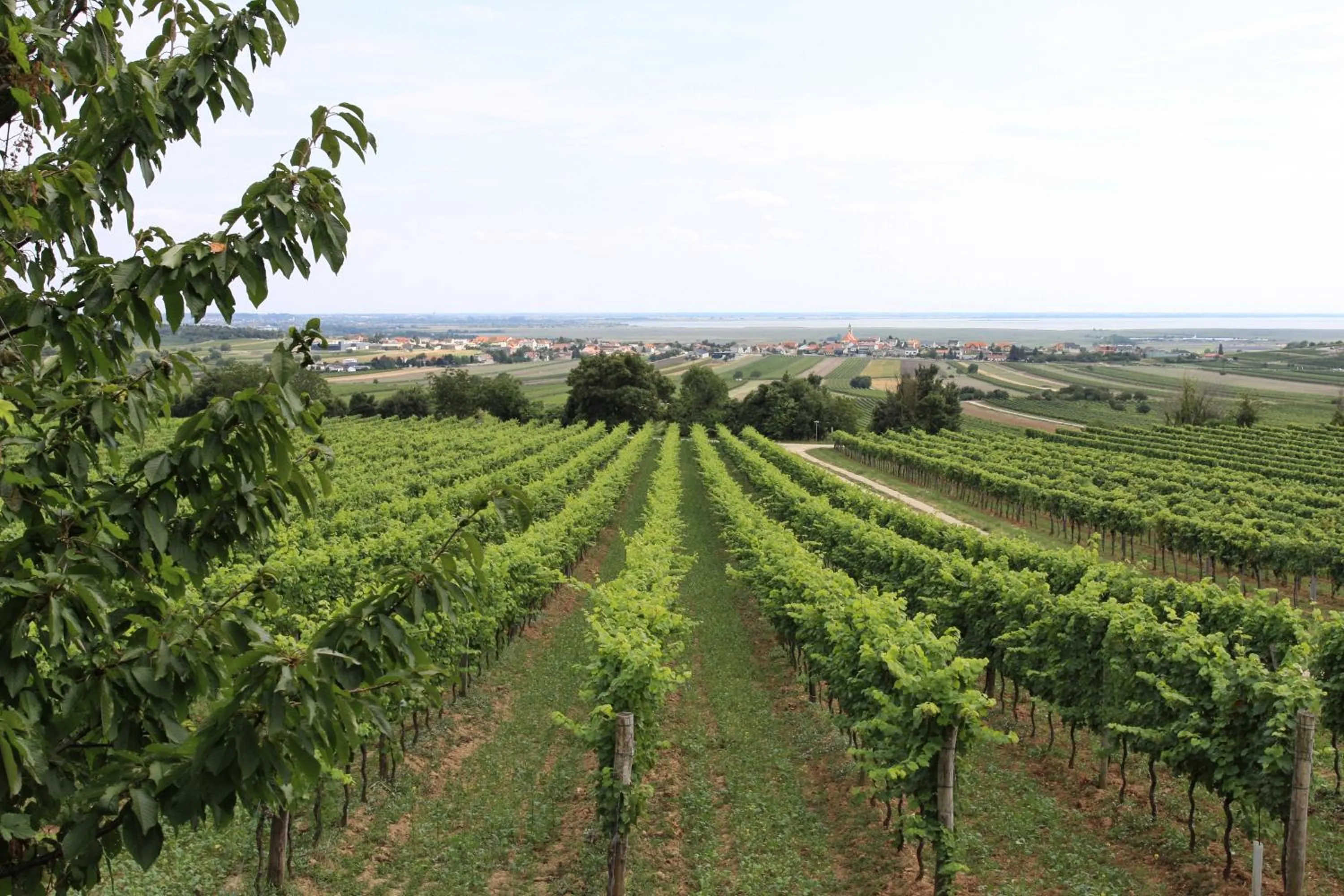 Area and facilities in Schnepfenhof