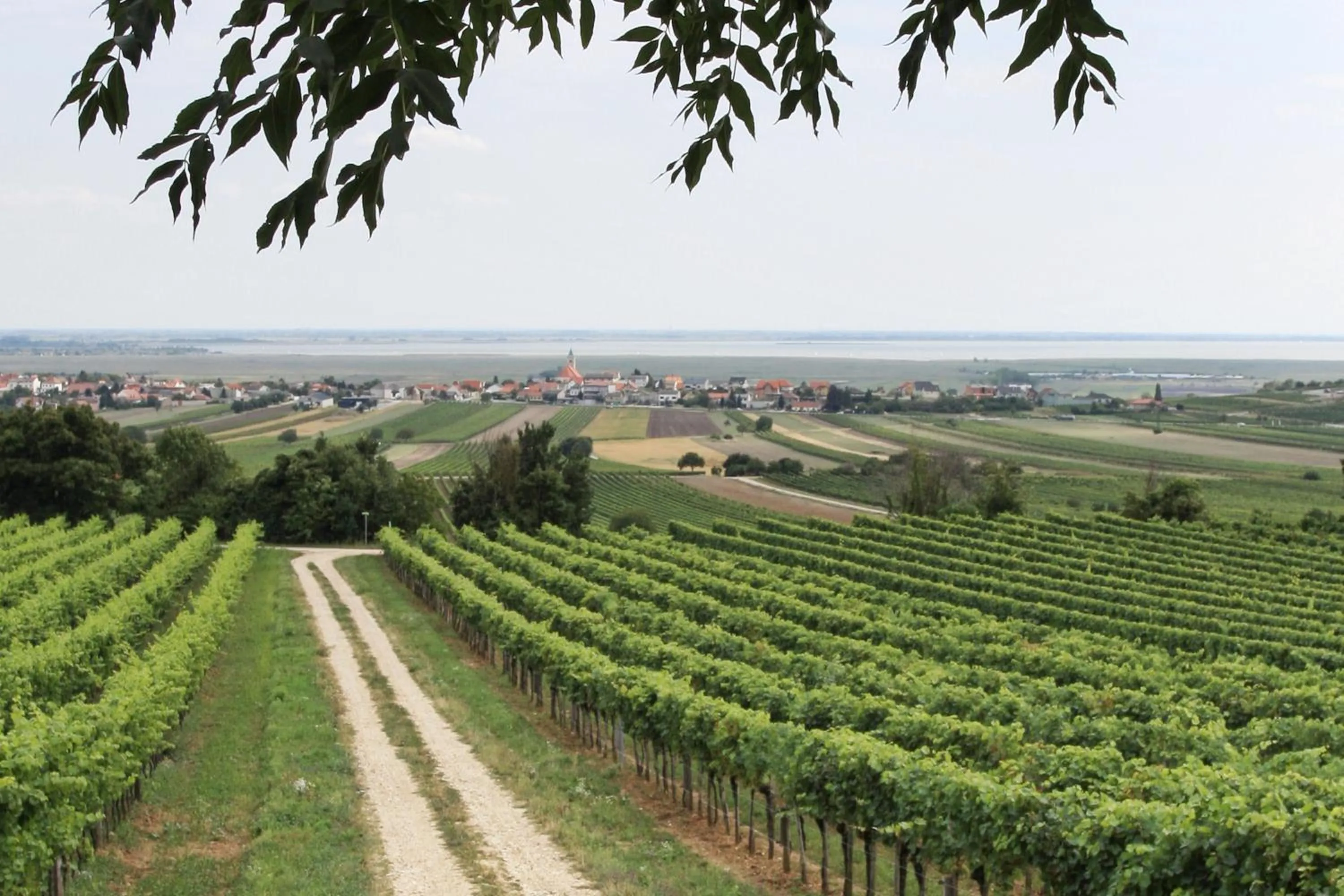 Area and facilities in Schnepfenhof