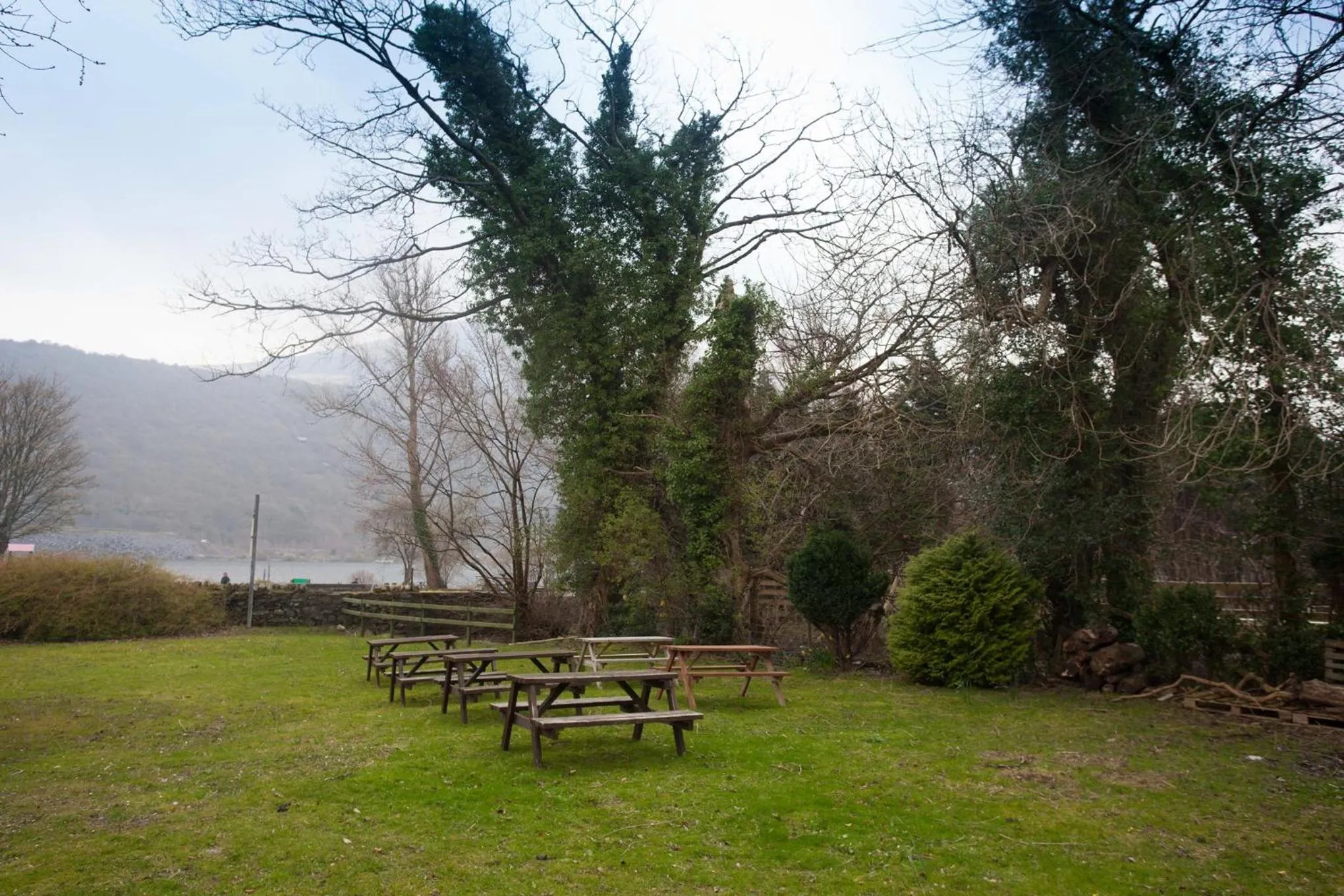 Garden in The Heights Bunkhouse