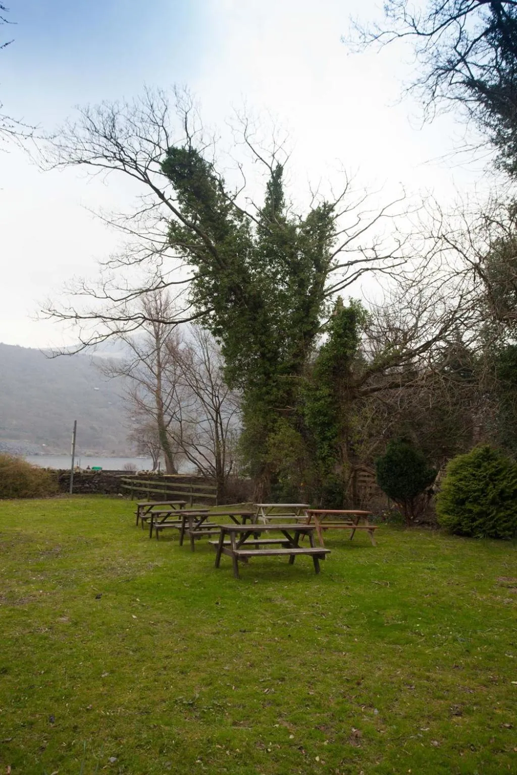 Garden in The Heights Bunkhouse
