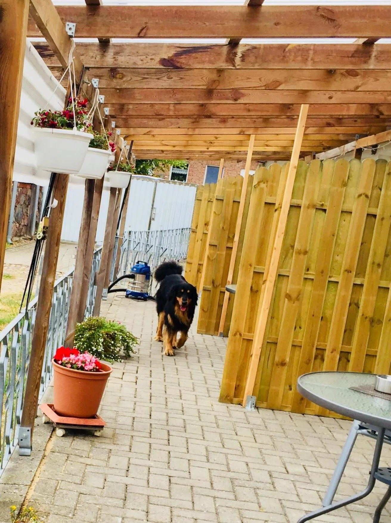 Other in Landgasthaus & Pension Liebner-Land Brandenburg-Prignitz