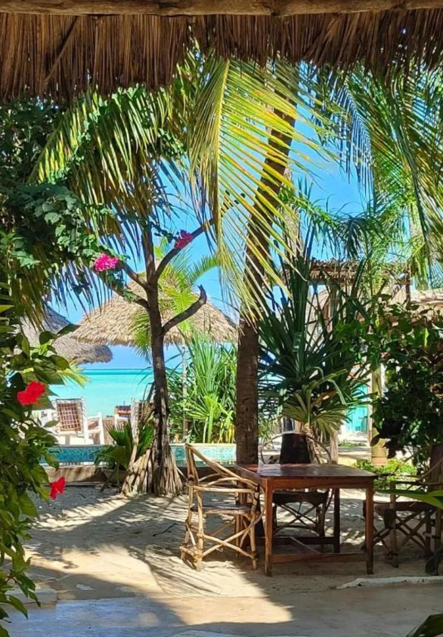 Garden in Villa Bahati Zanzibar