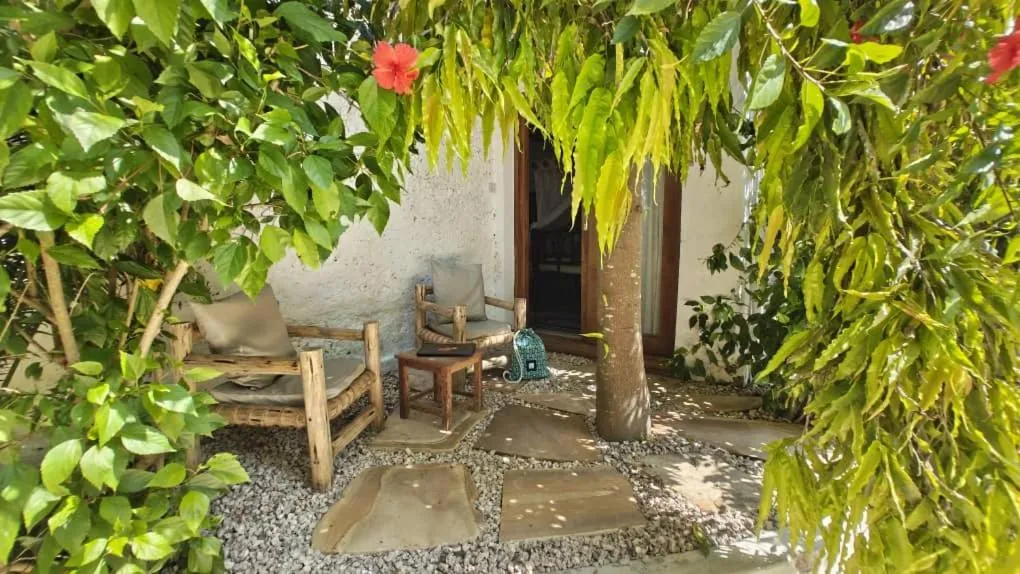 Garden in Villa Bahati Zanzibar