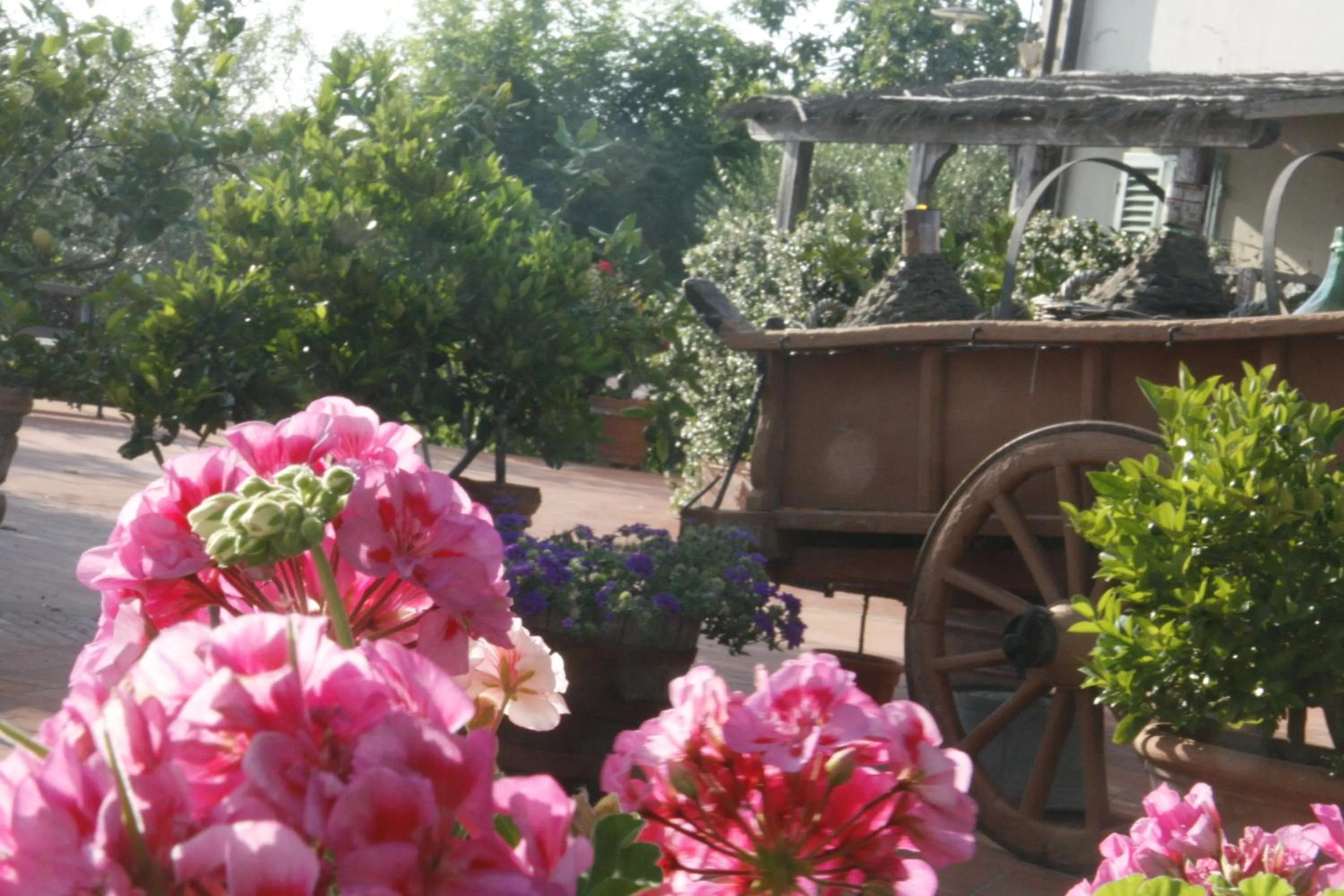 Summer in Locanda le Boscarecce