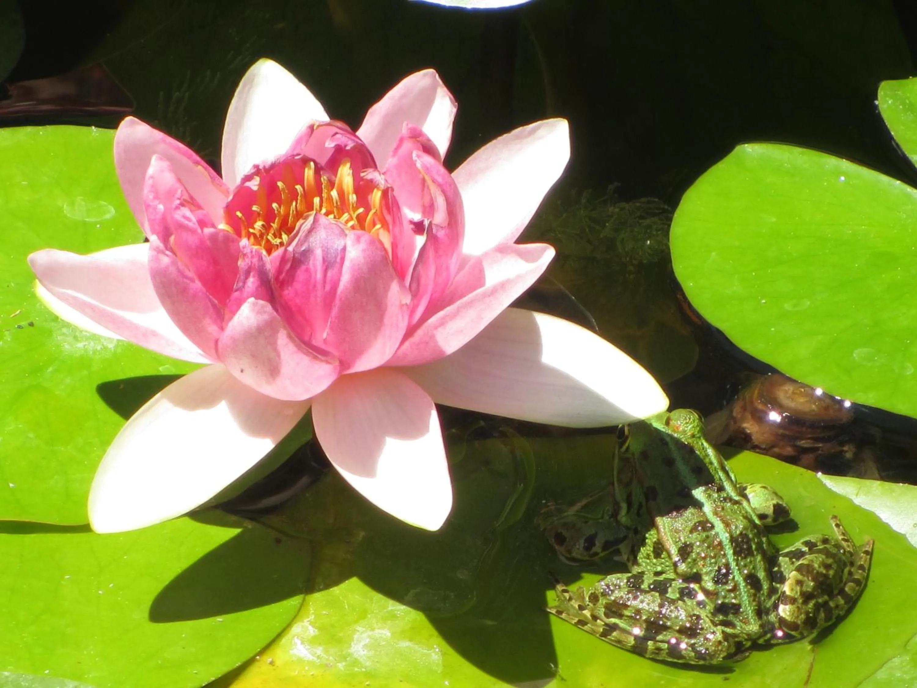 Garden in Locanda le Boscarecce