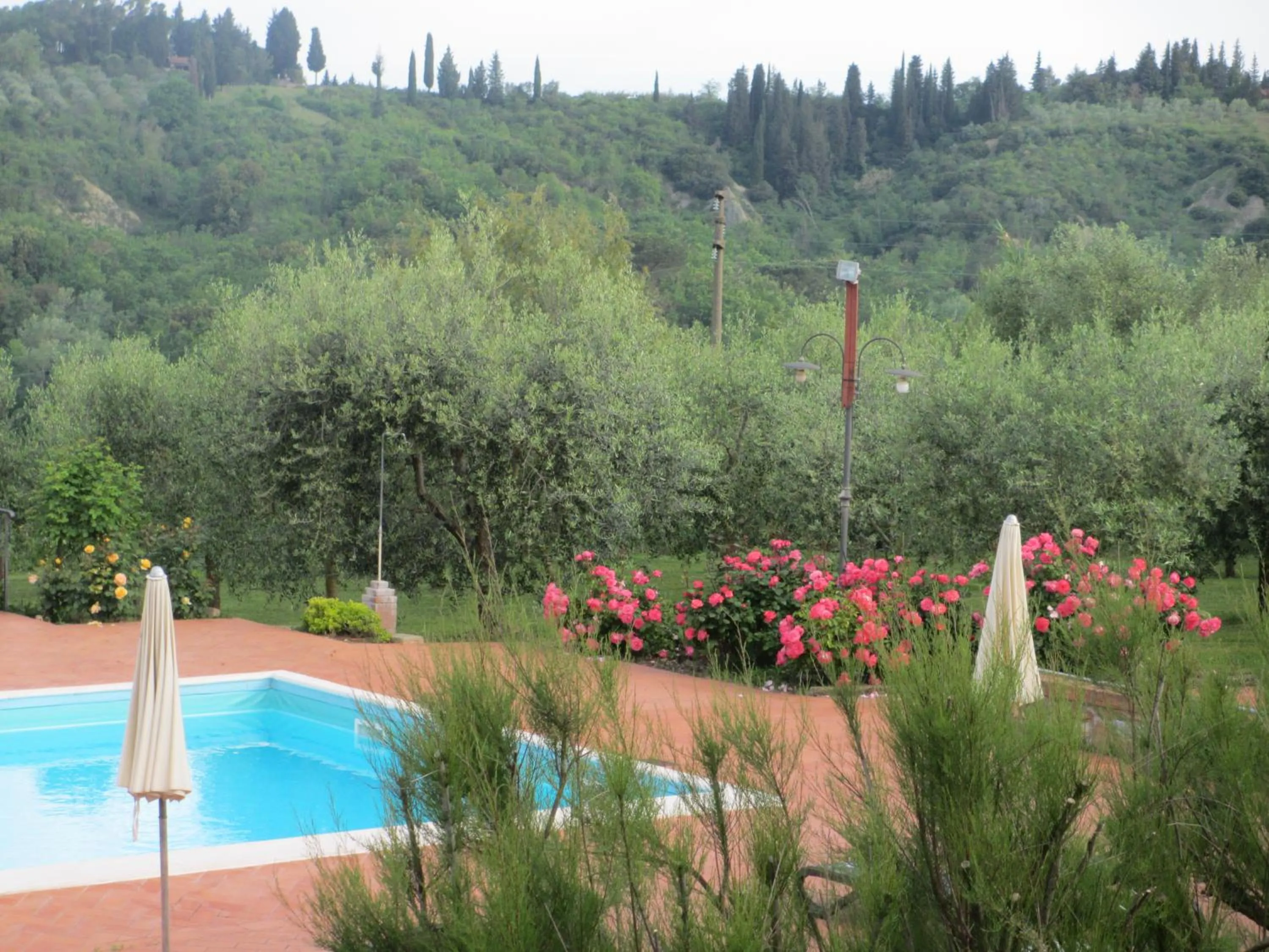 Swimming pool in Locanda le Boscarecce