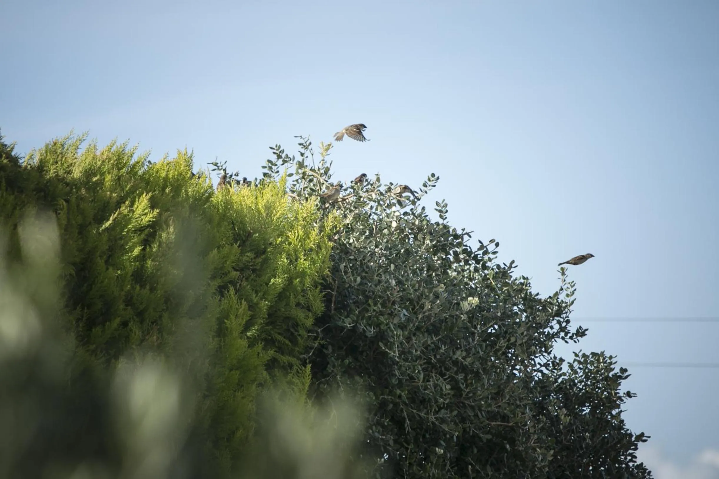 Day in Secreto Studios