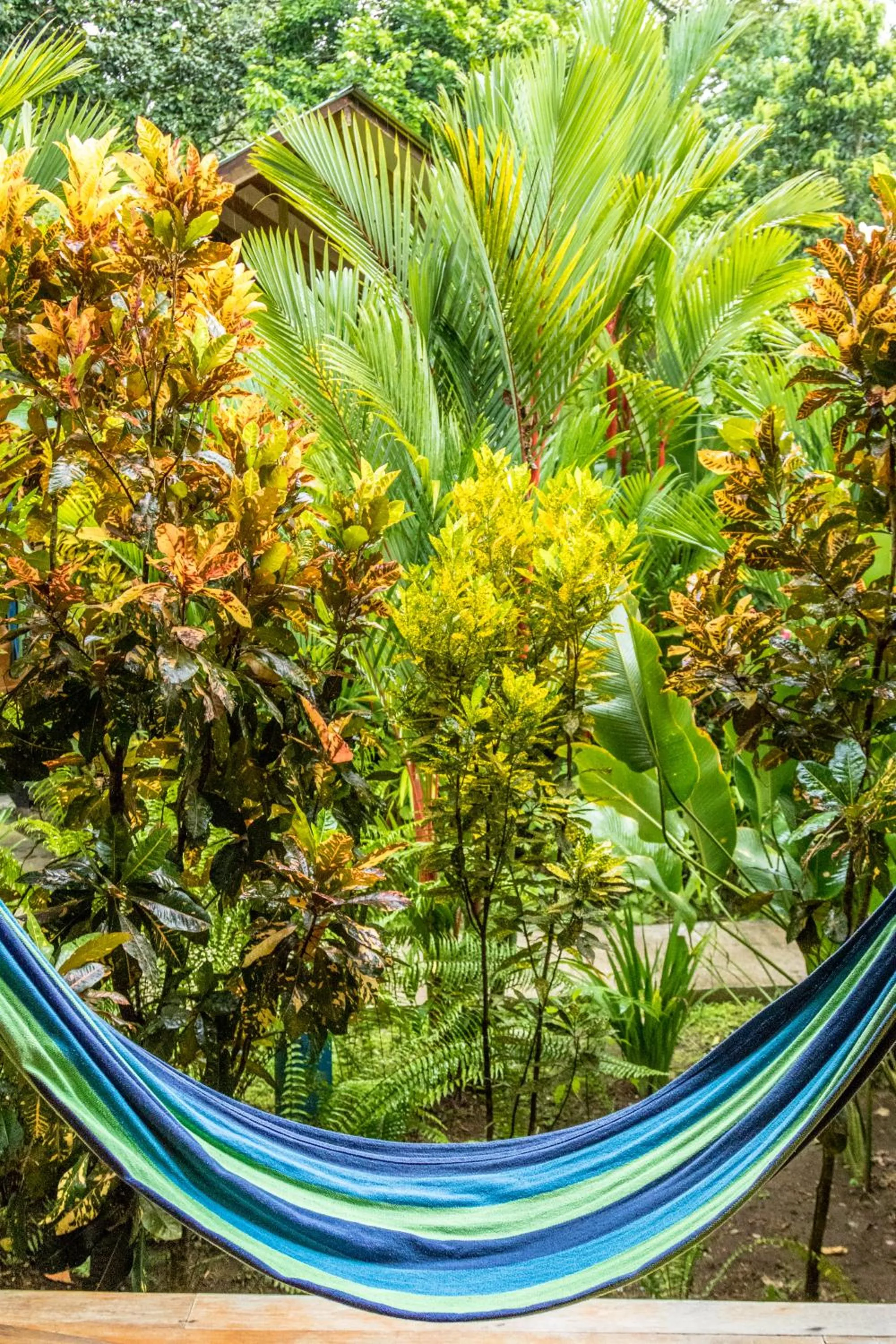 Garden view in Relax Natural Village Adults Only