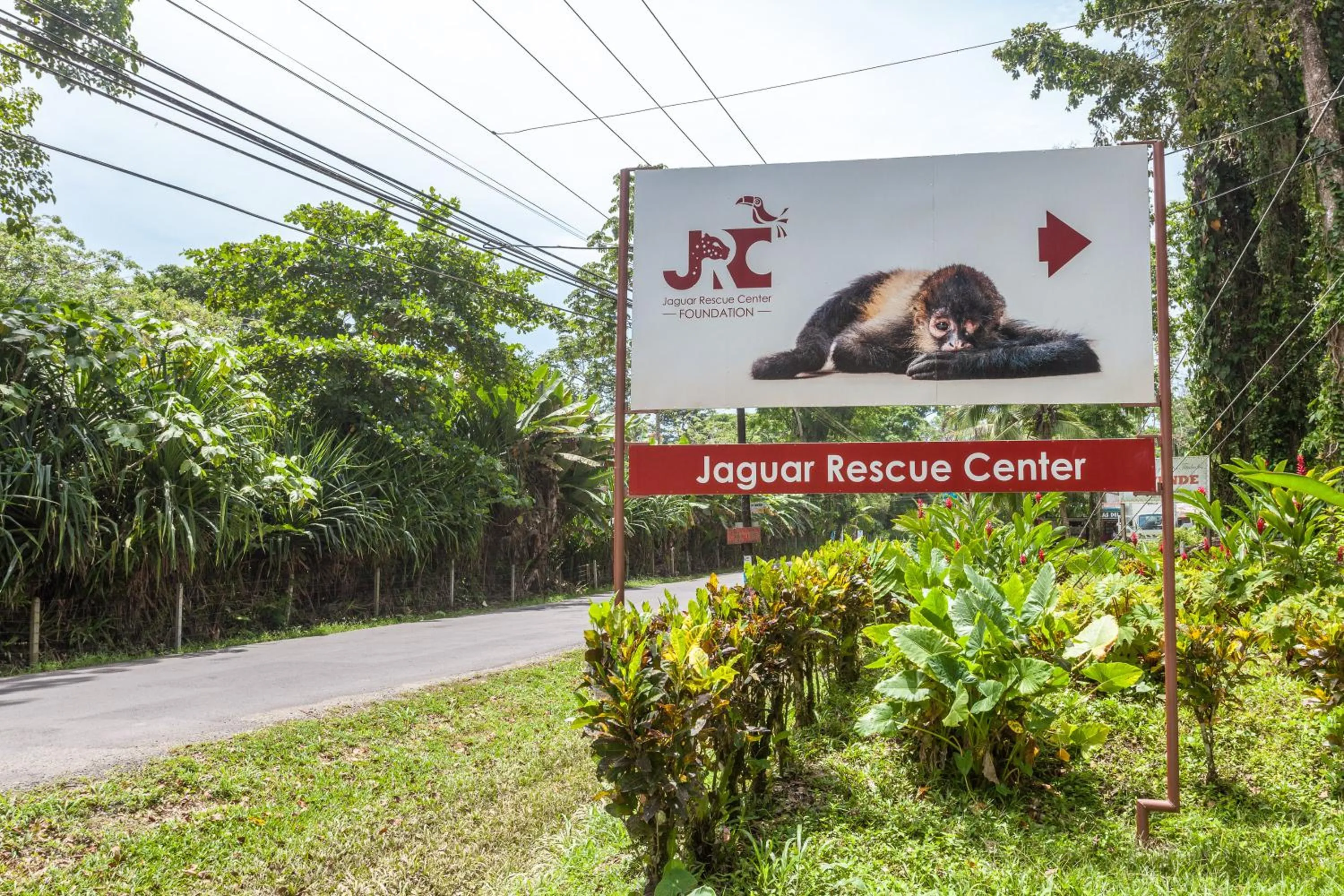 Animals in Relax Natural Village Adults Only