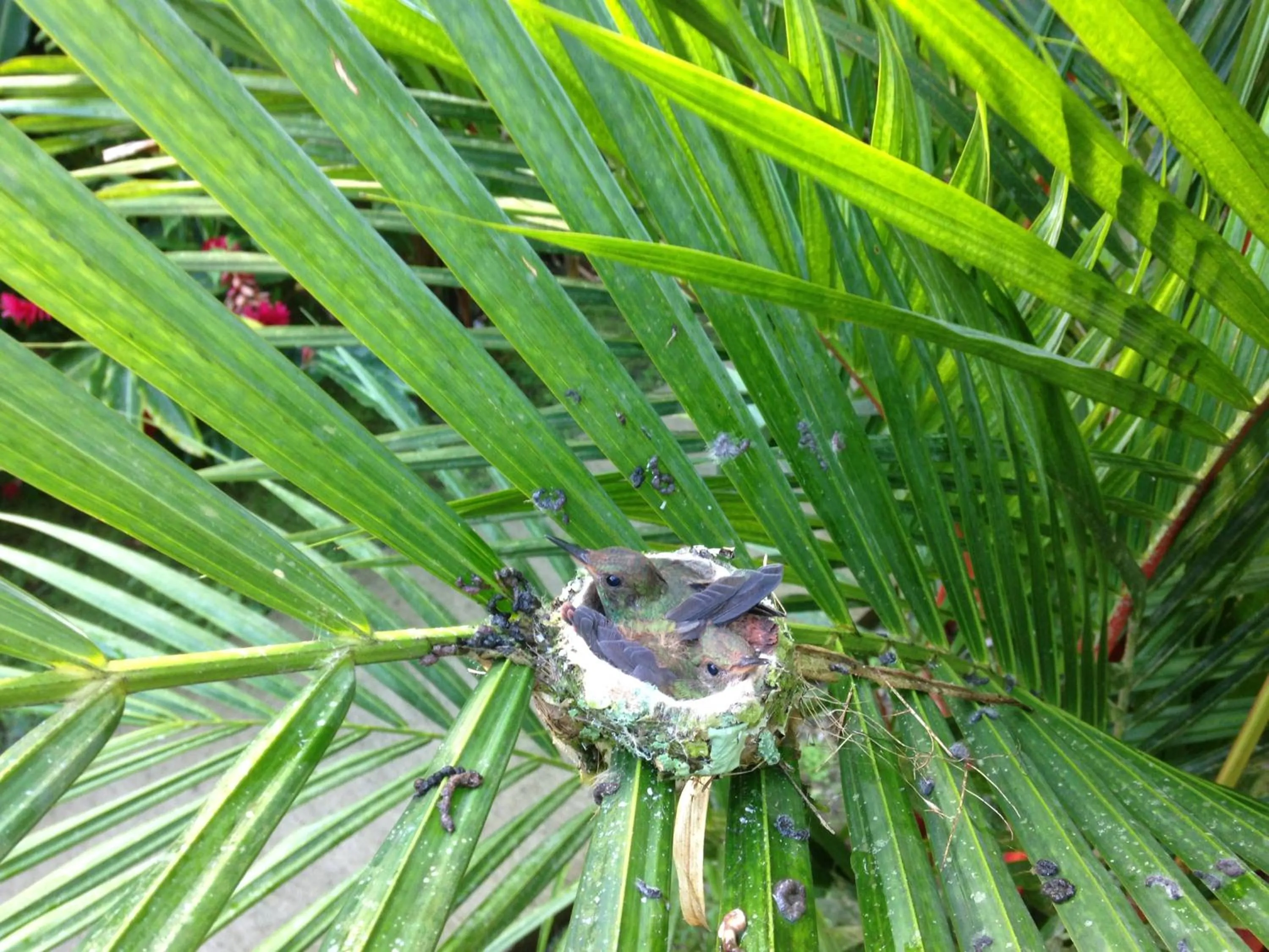 Other in Relax Natural Village Adults Only