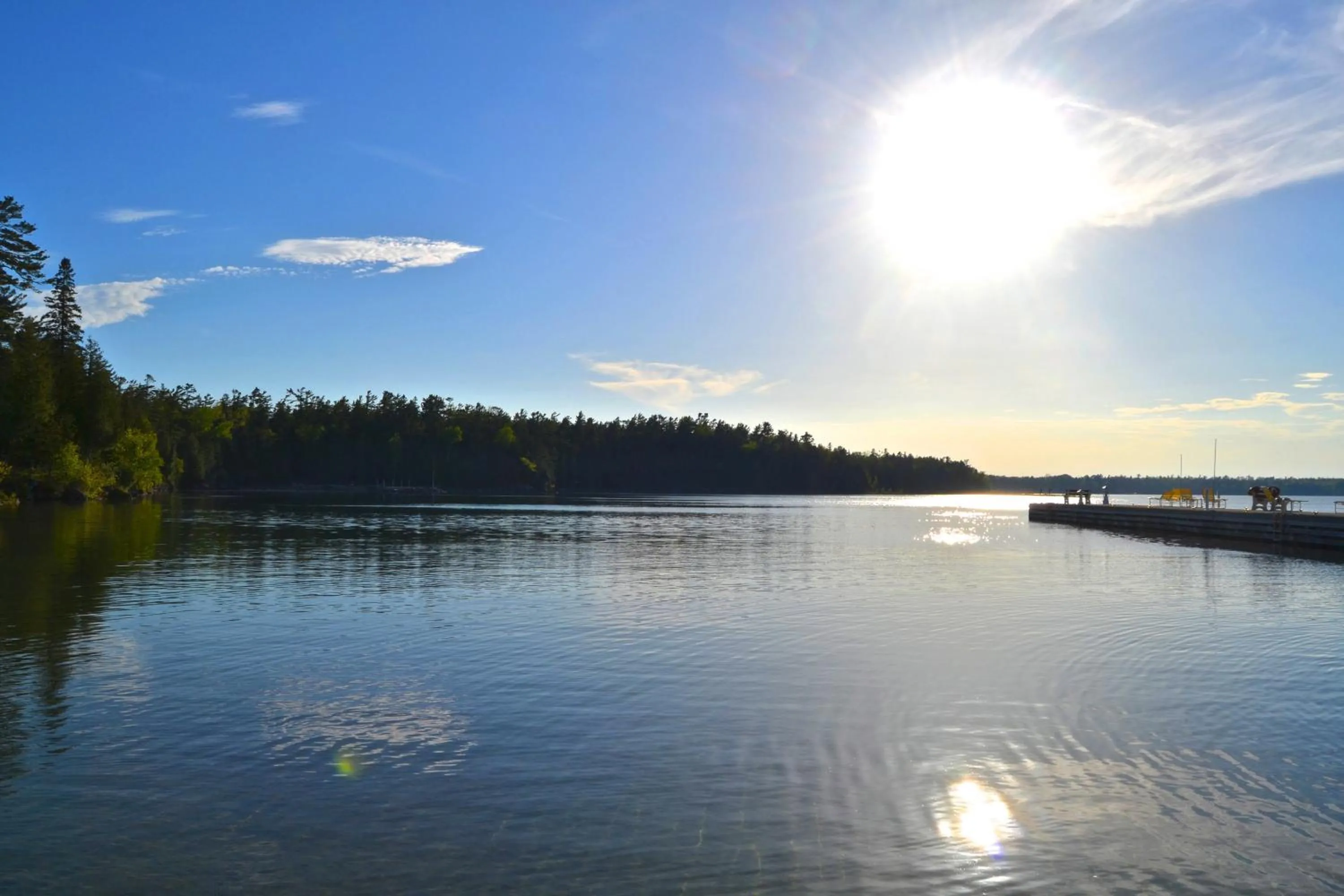 Natural landscape in Gordon Lodge