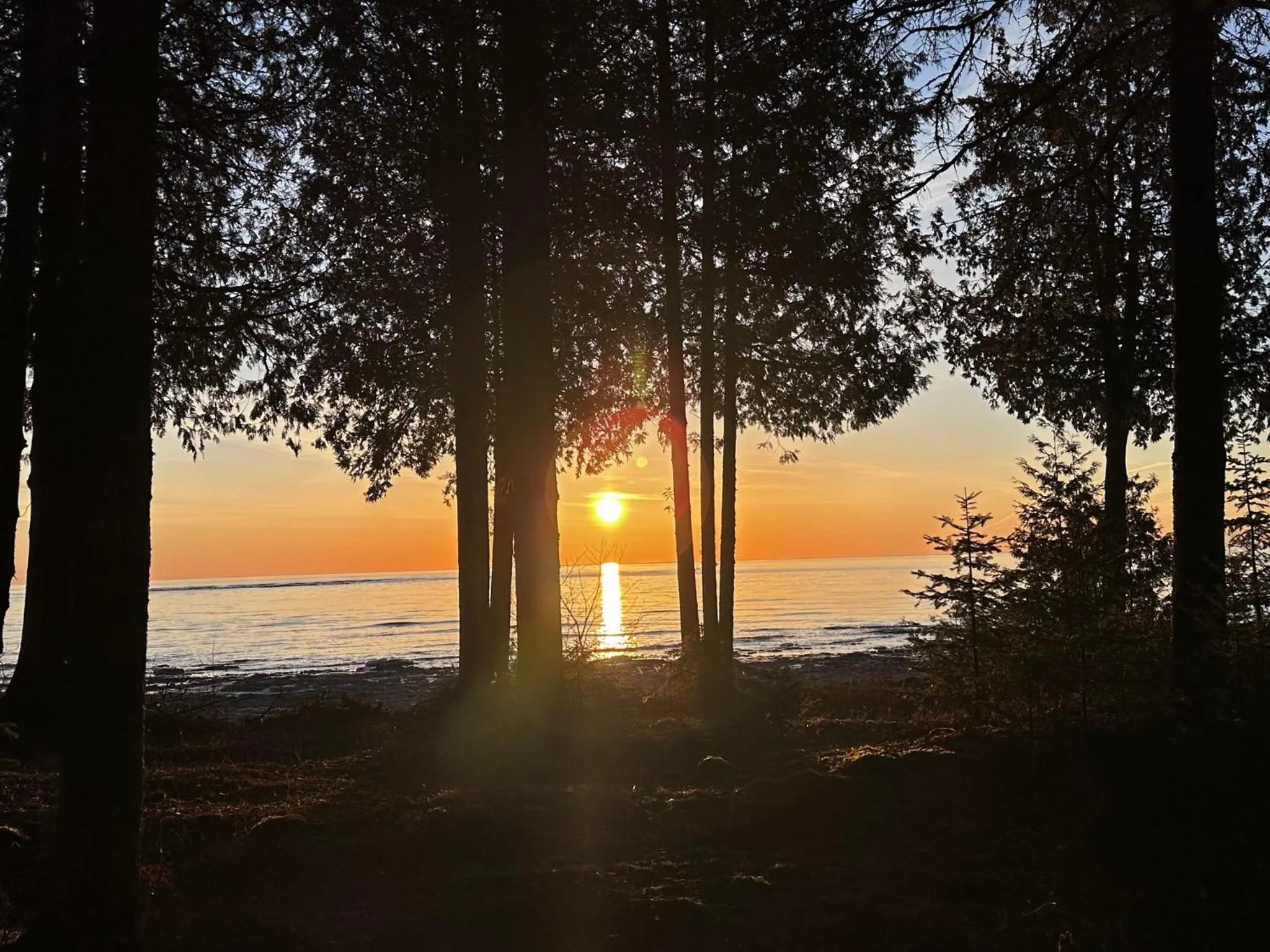Lake view in Gordon Lodge