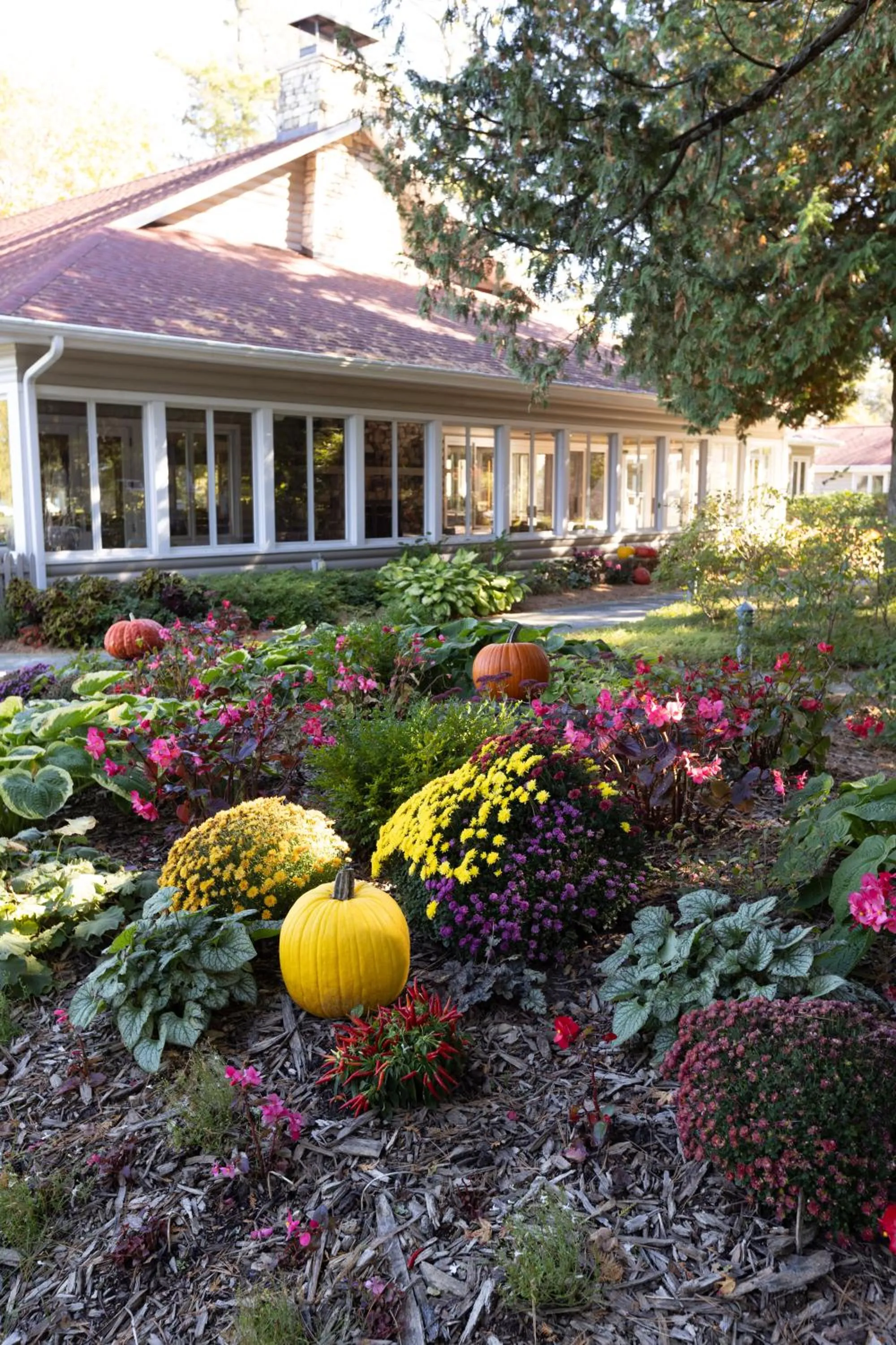 Natural landscape in Gordon Lodge