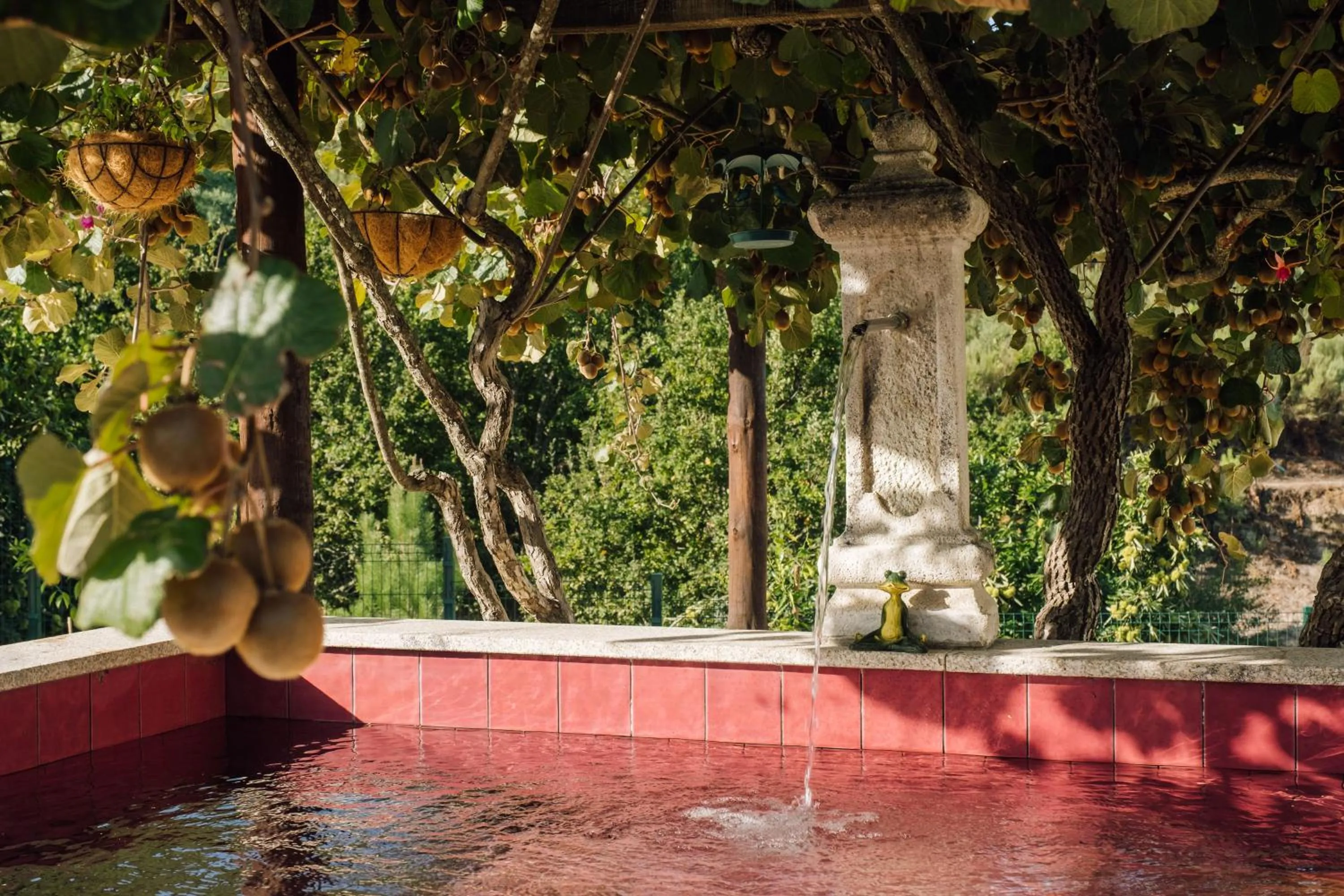 Garden in Palacete do Guerreiro Charme Hotel & SPA