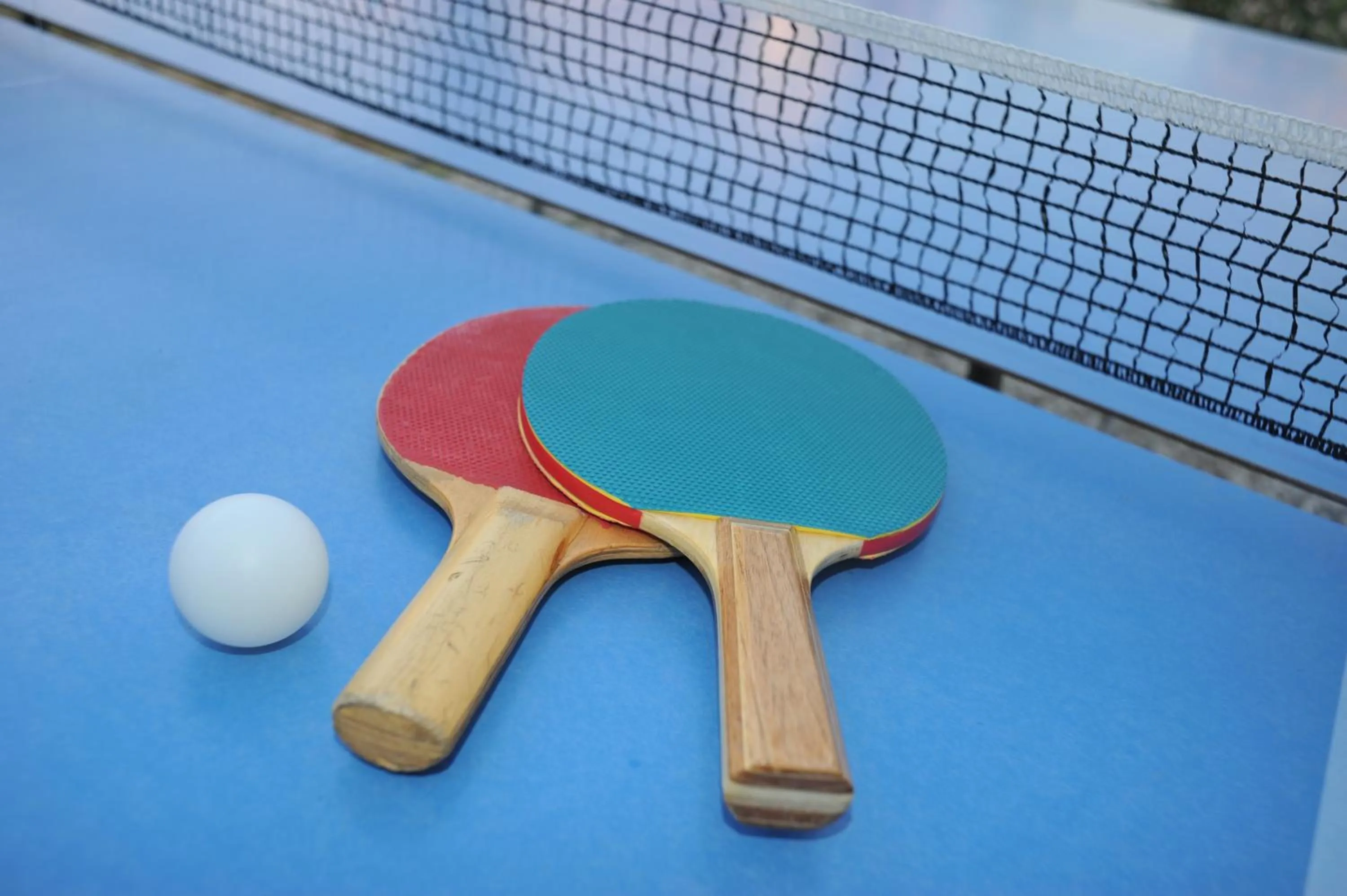 Table tennis in Albergo Torrente