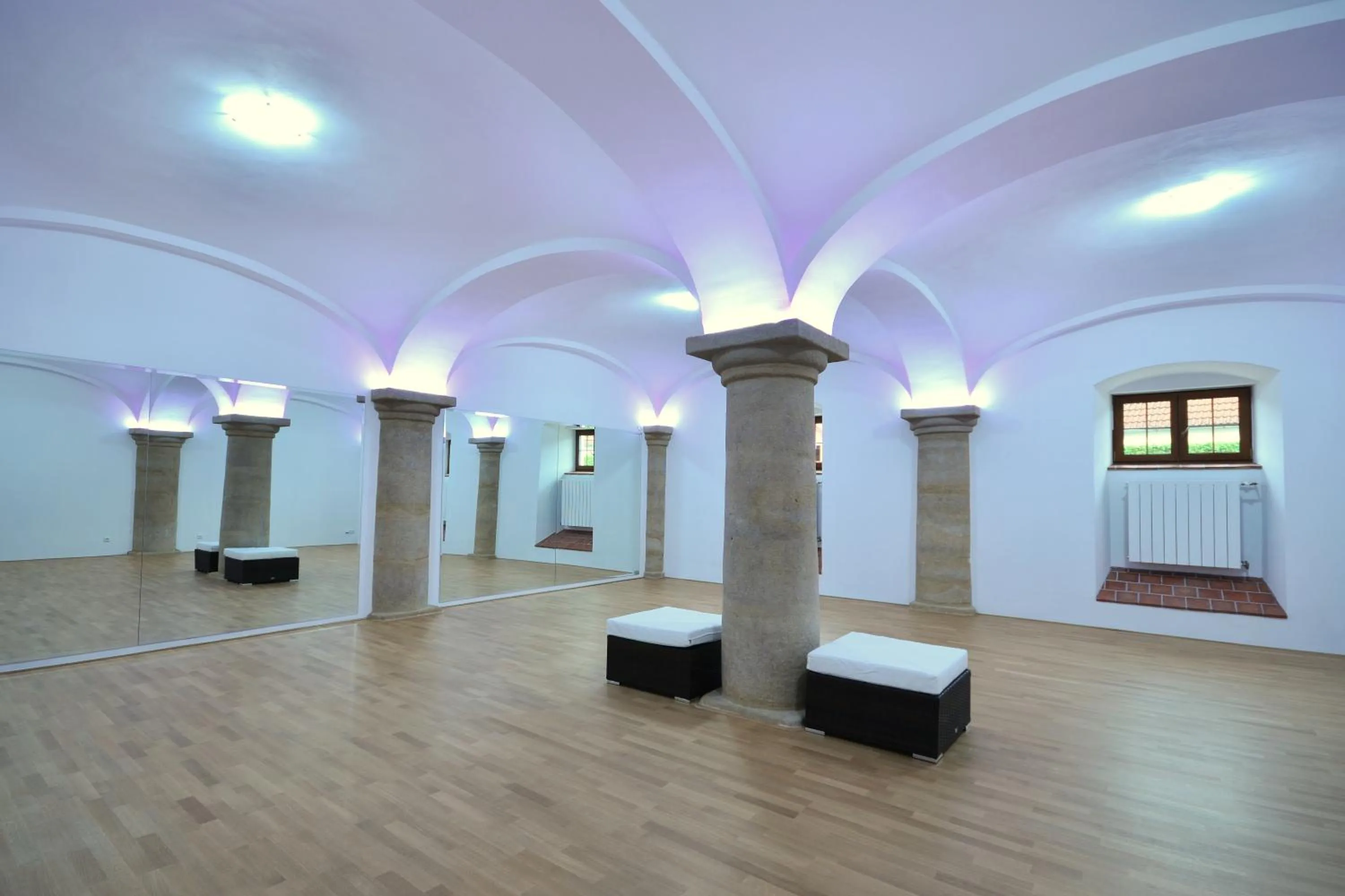 Fitness centre/facilities in Hotel Malý Pivovar