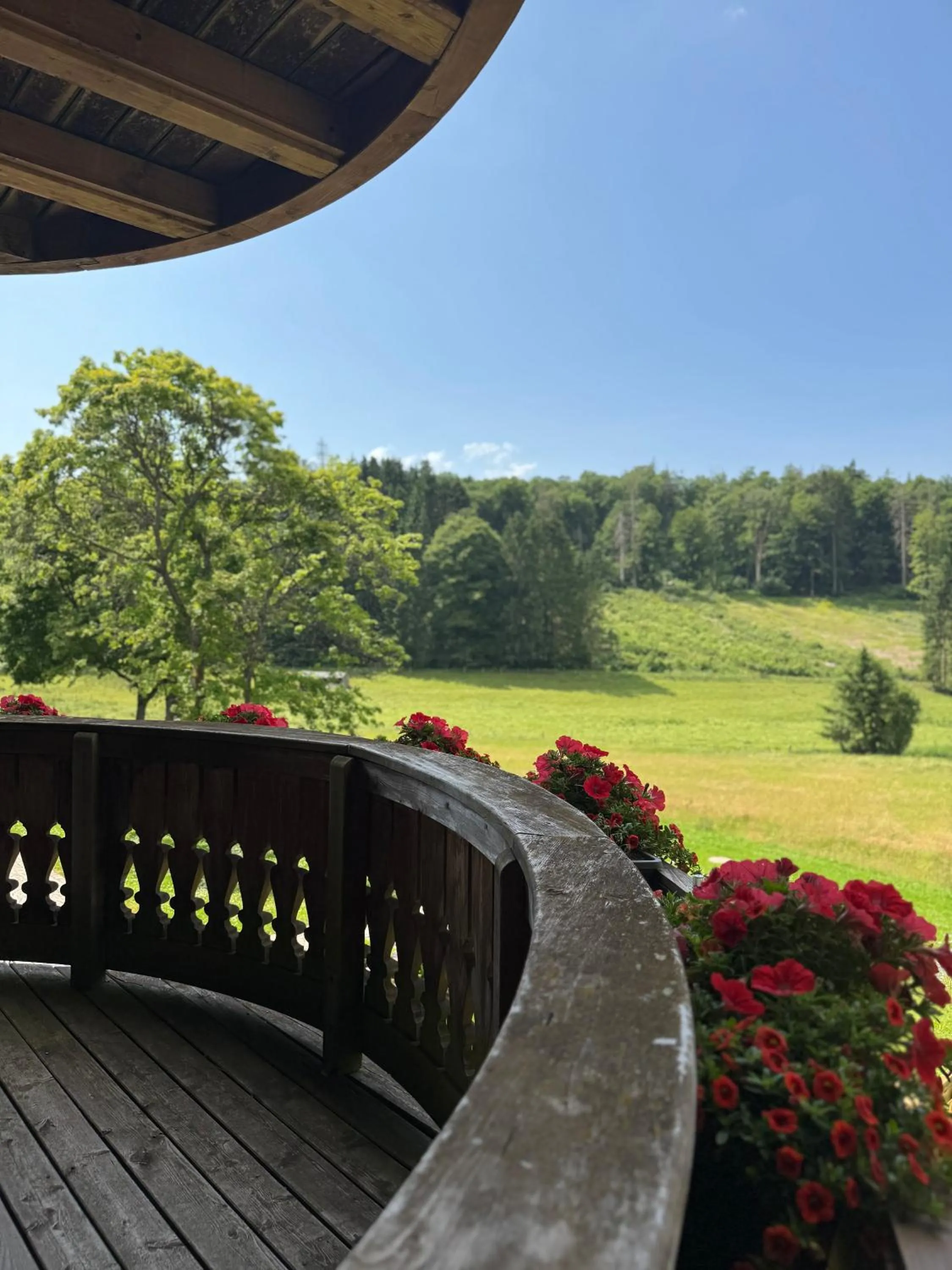 View (from property/room) in Ante Romantikhof