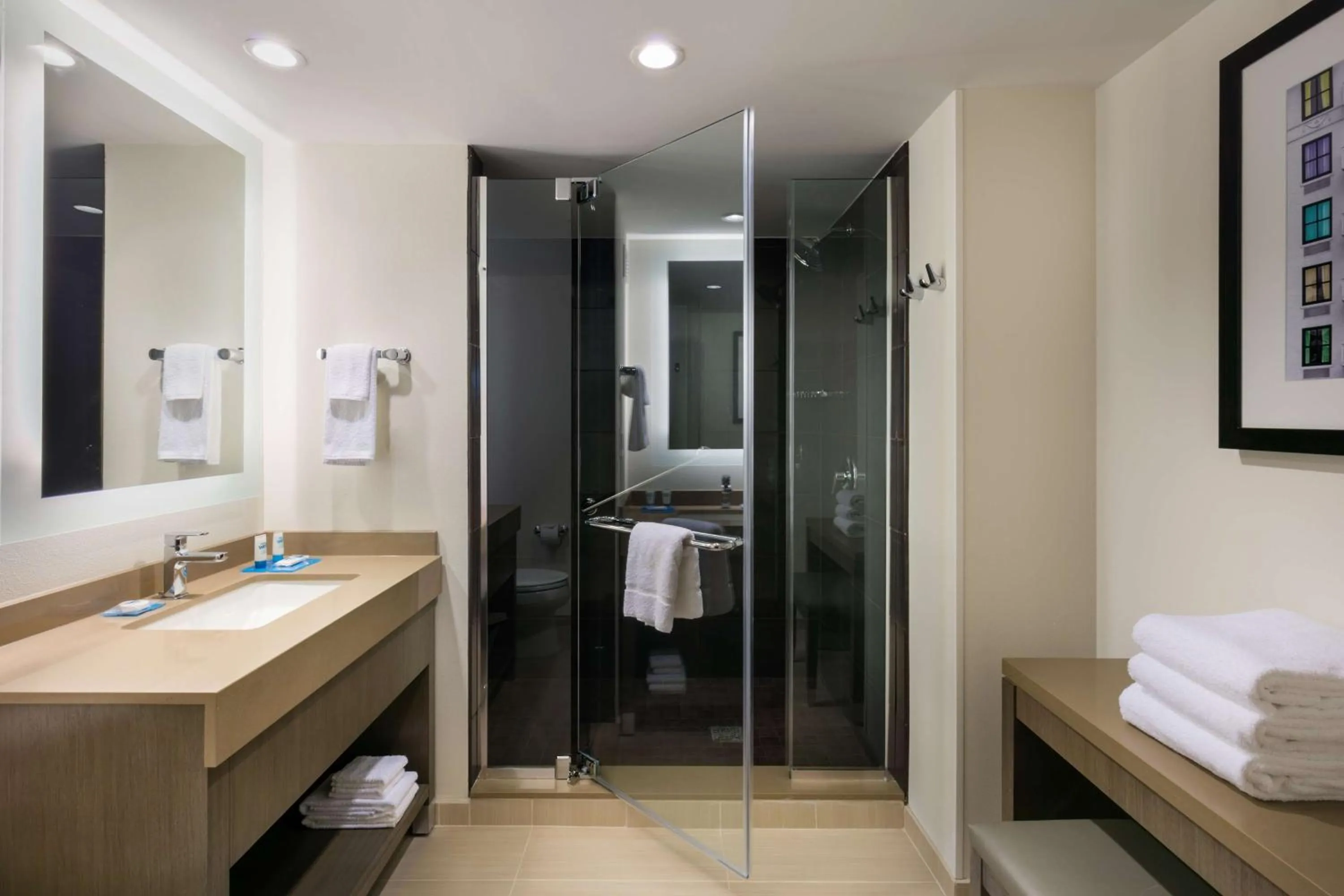 Bathroom in Hyatt House Charleston - Historic District