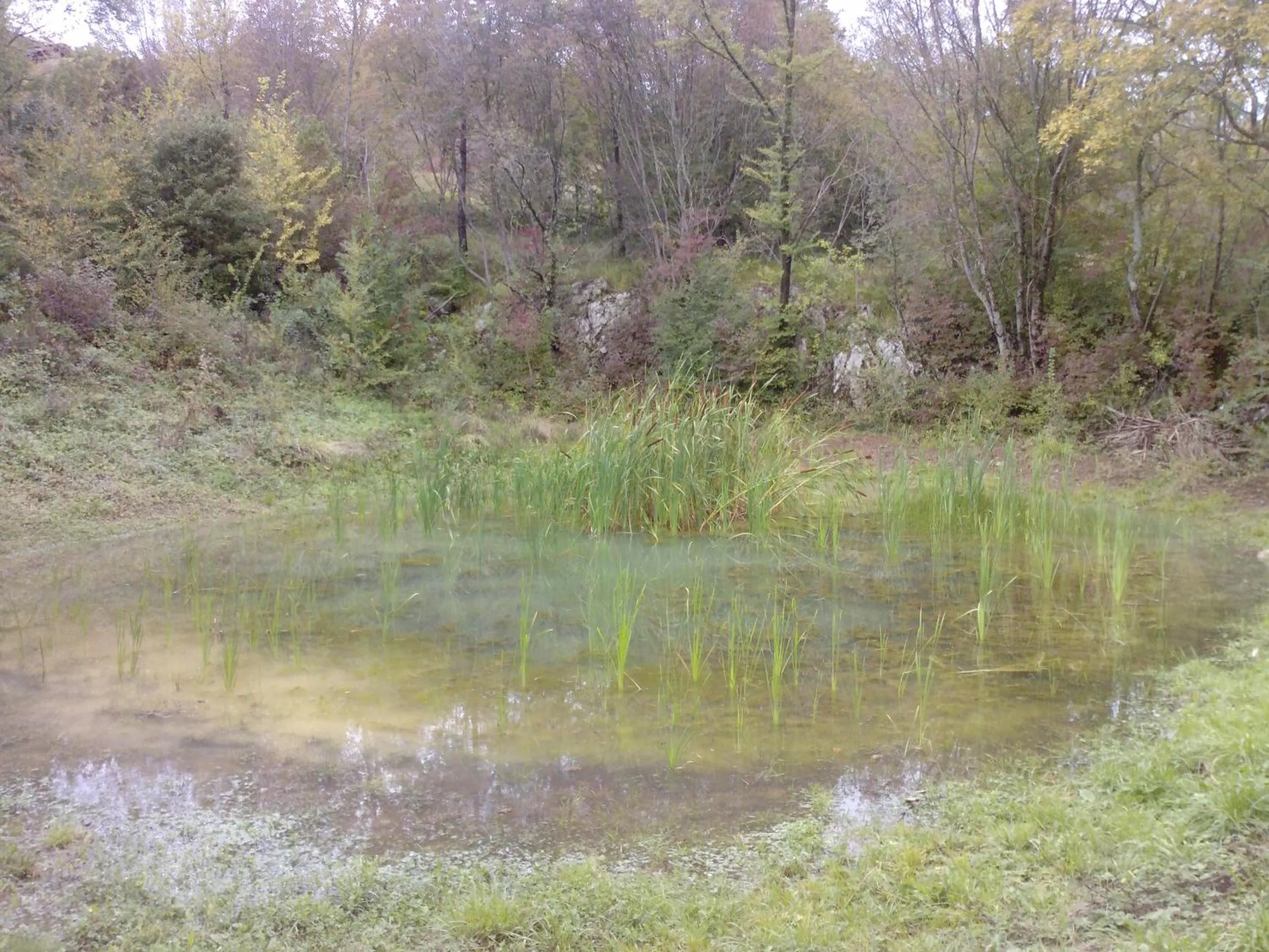 Natural landscape in Osterija Na Planinci
