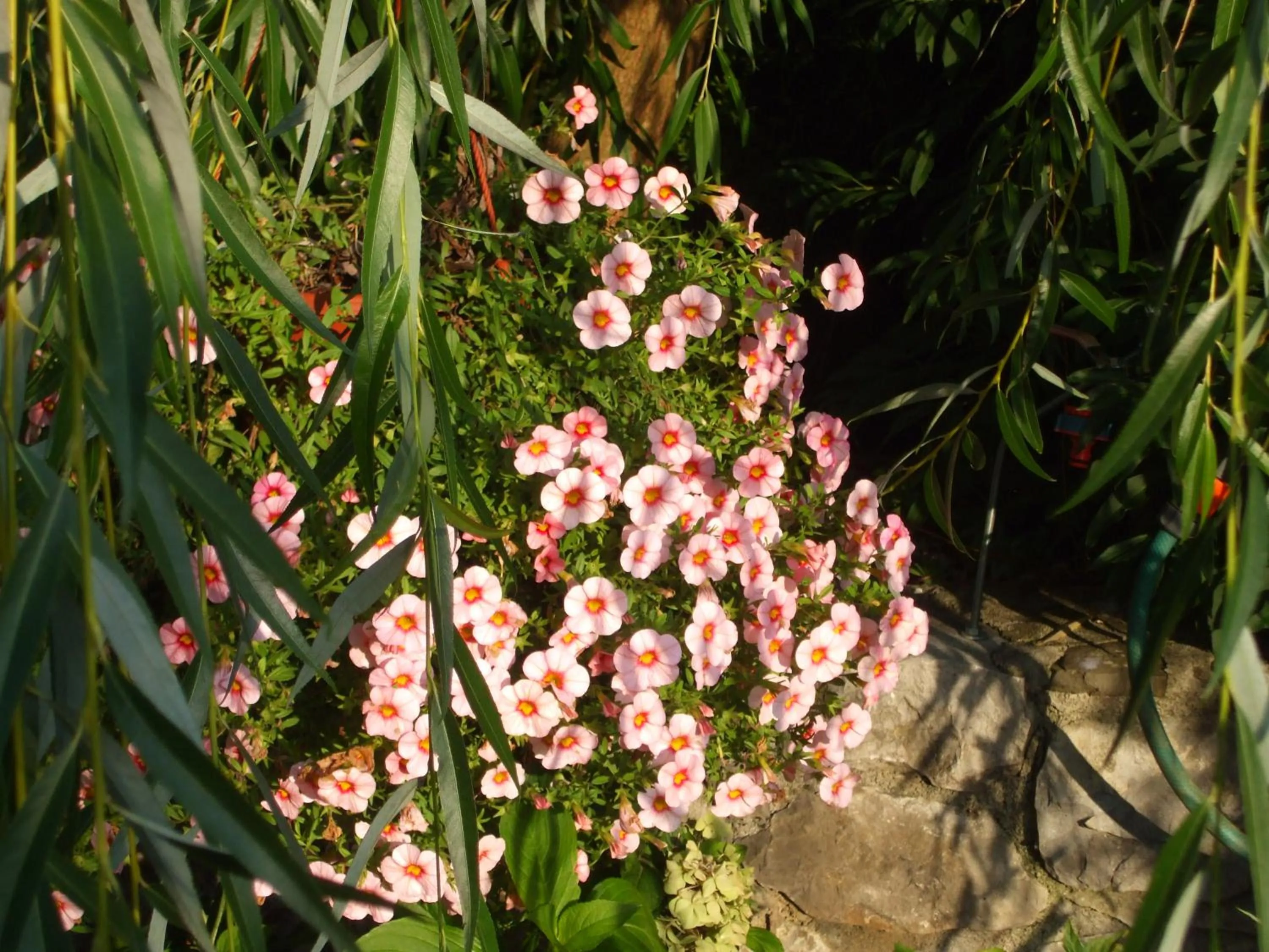 Decorative detail in Osterija Na Planinci