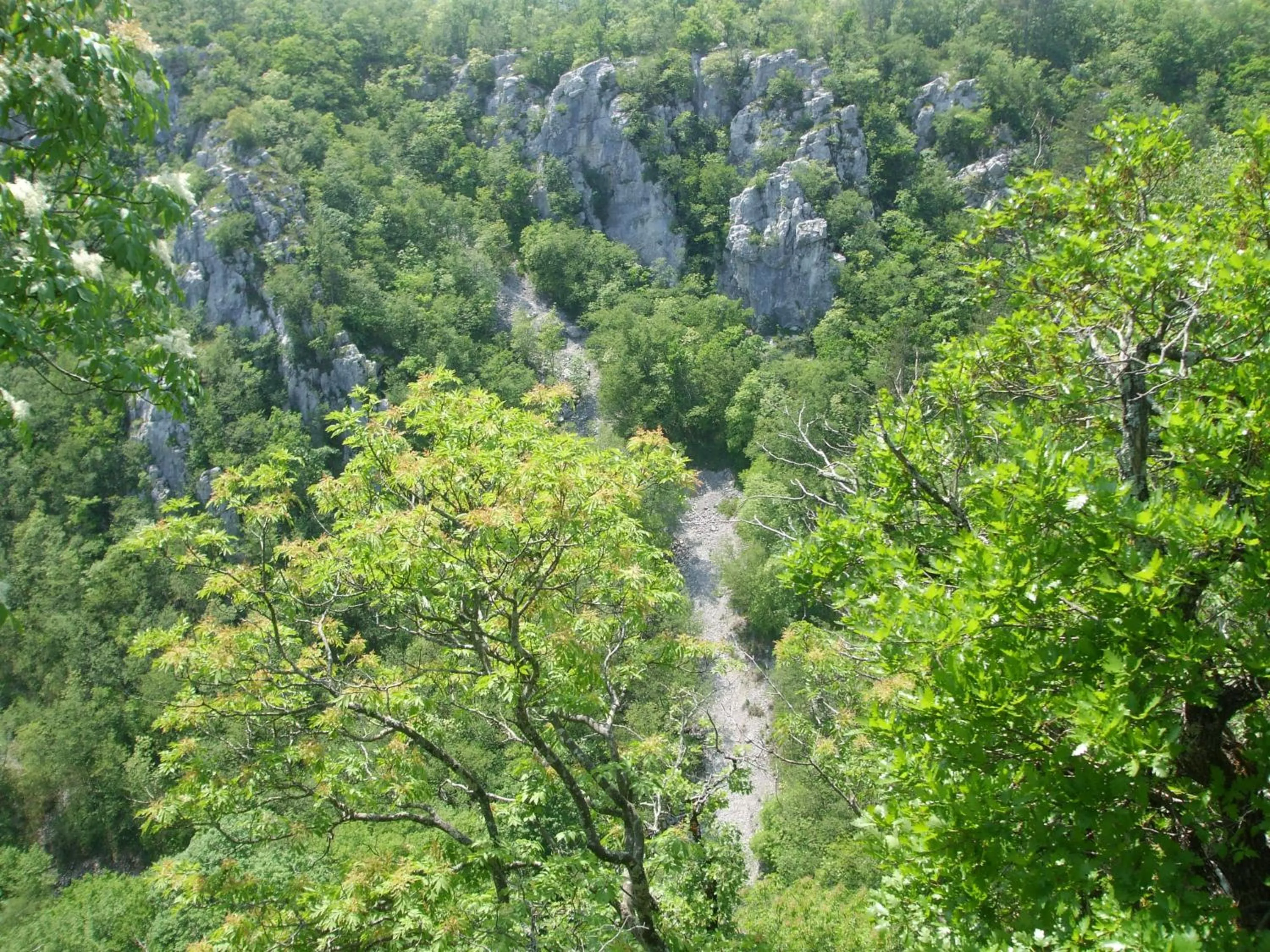 Natural landscape in Osterija Na Planinci