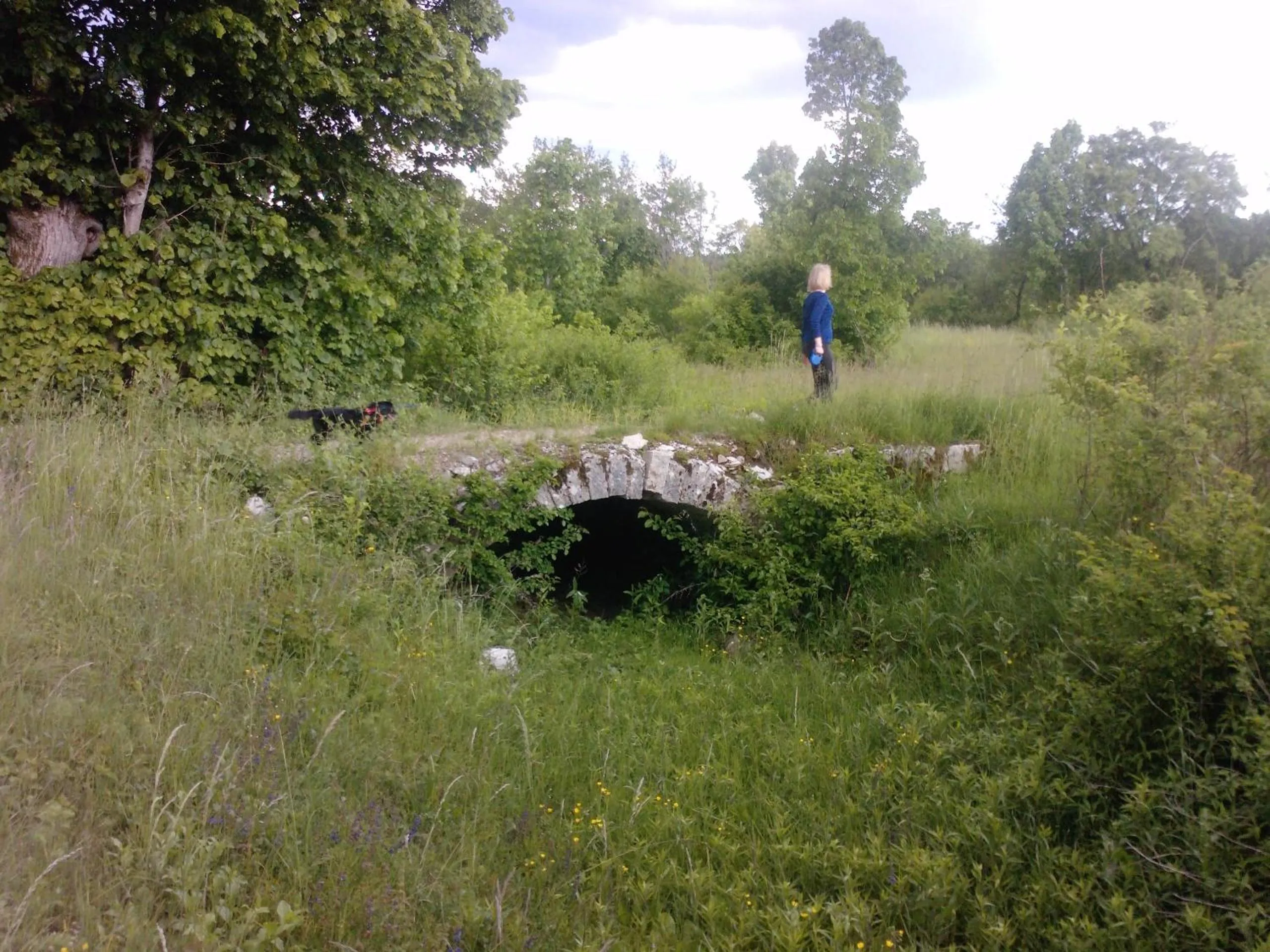 Natural landscape in Osterija Na Planinci