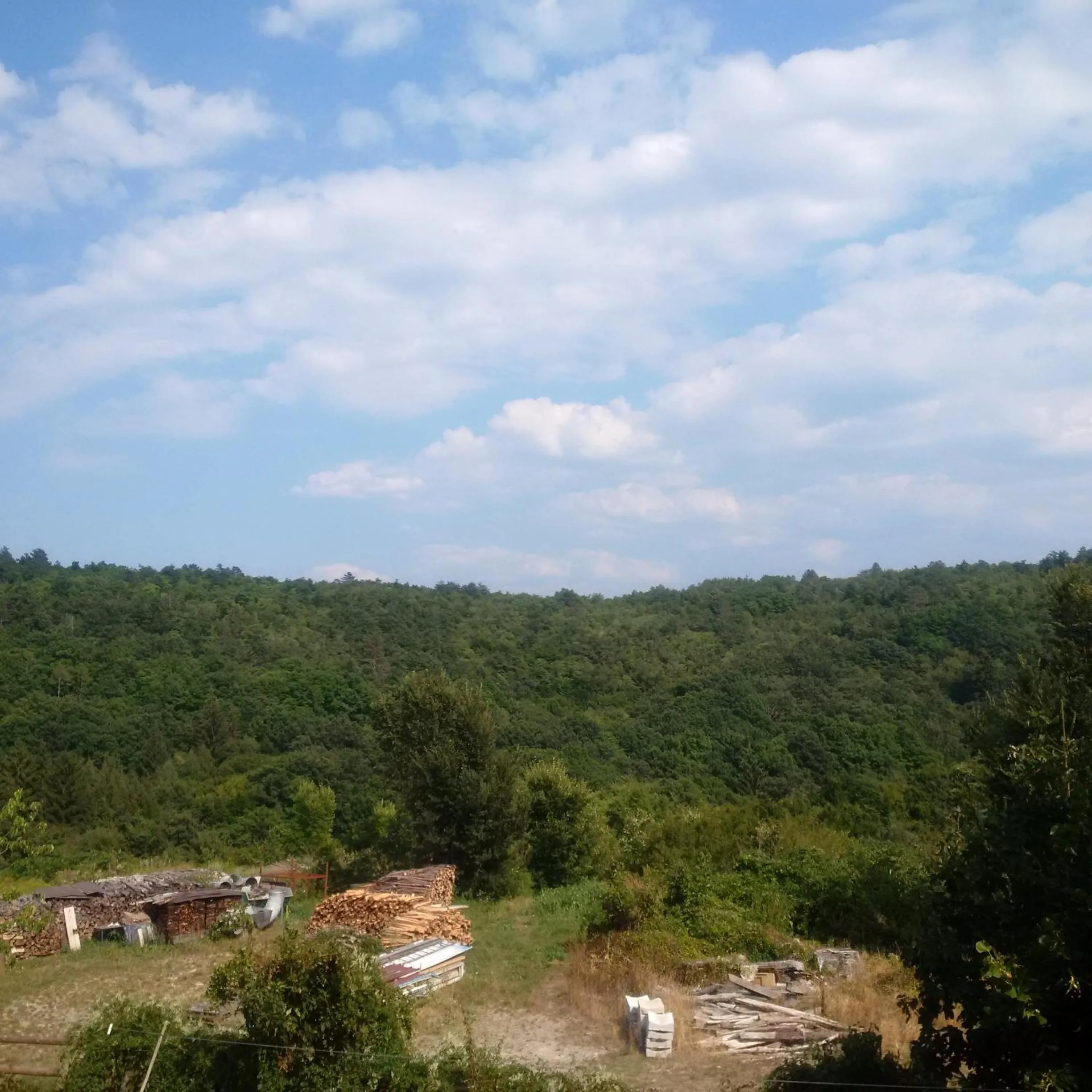 Garden view in Osterija Na Planinci
