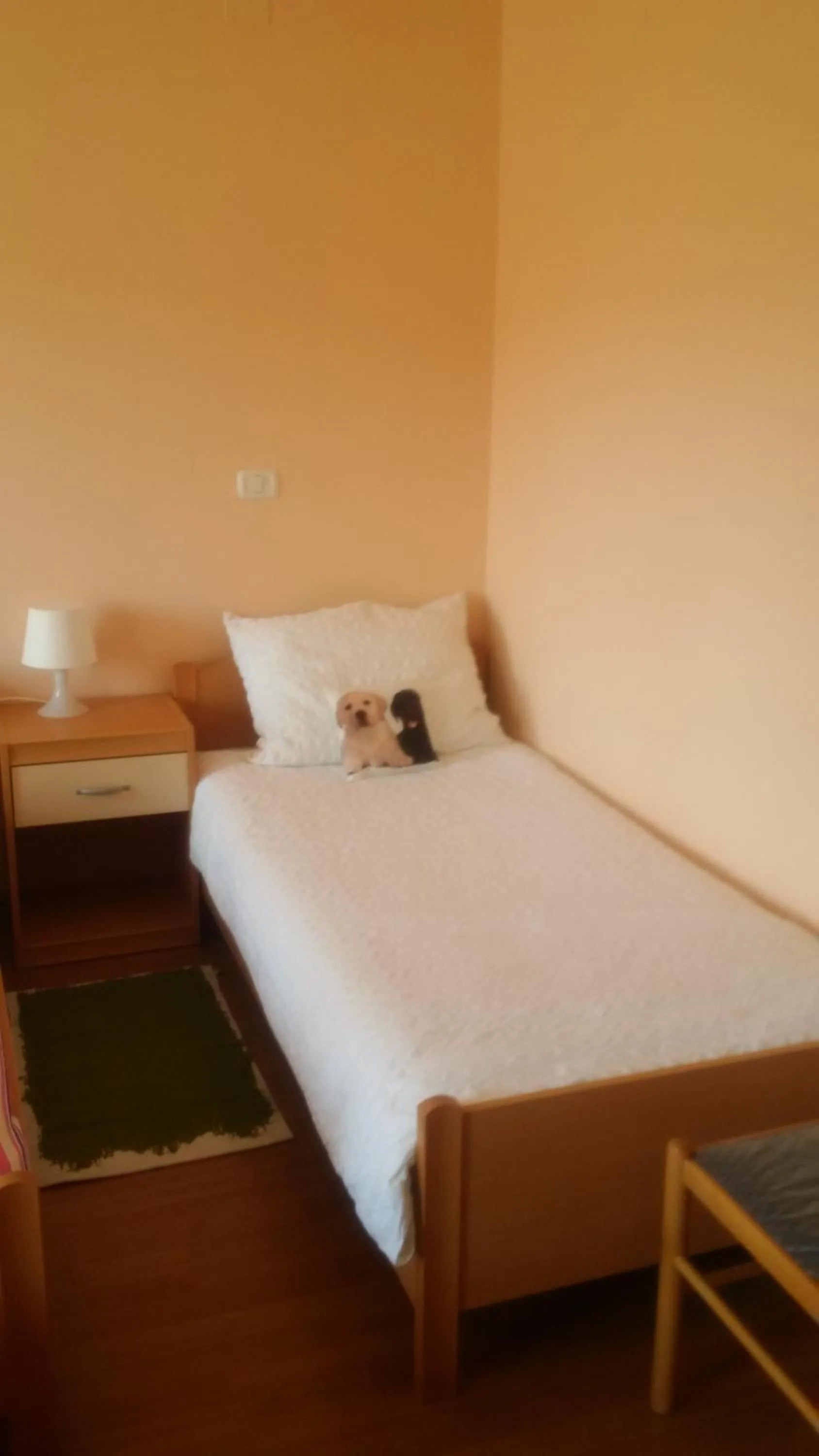 Photo of the whole room, Bed in Osterija Na Planinci