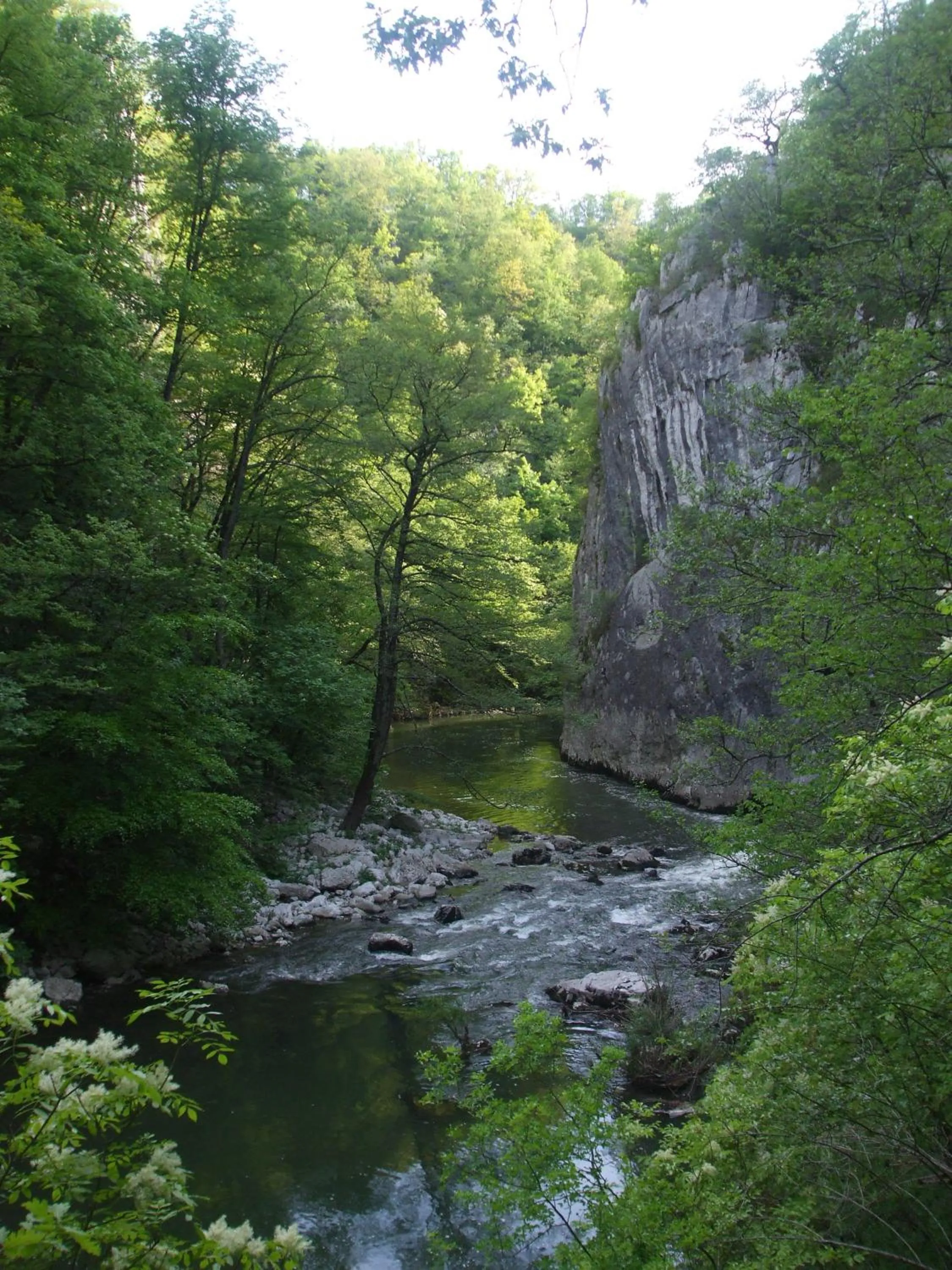 Natural landscape in Osterija Na Planinci