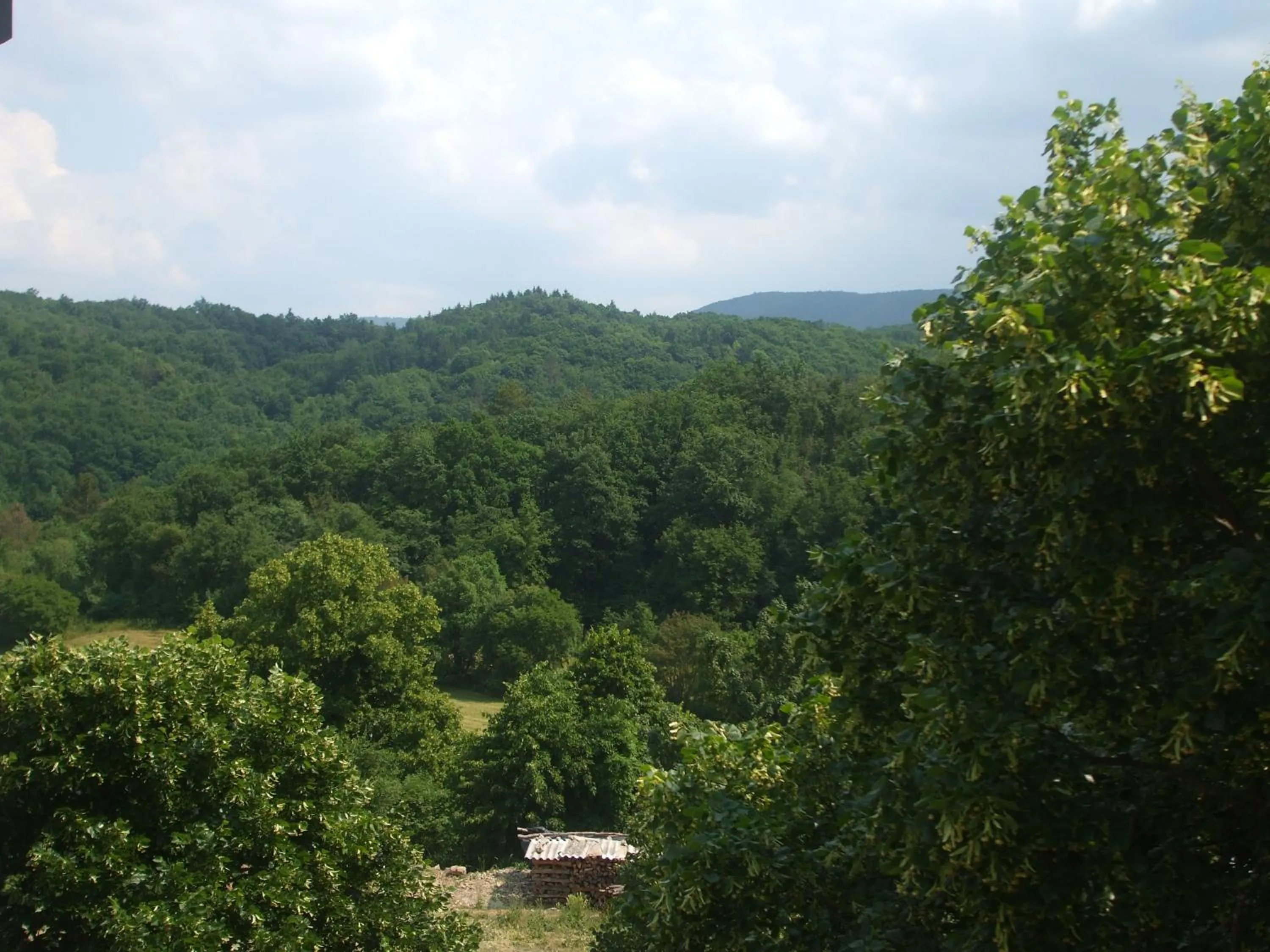 Garden view in Osterija Na Planinci