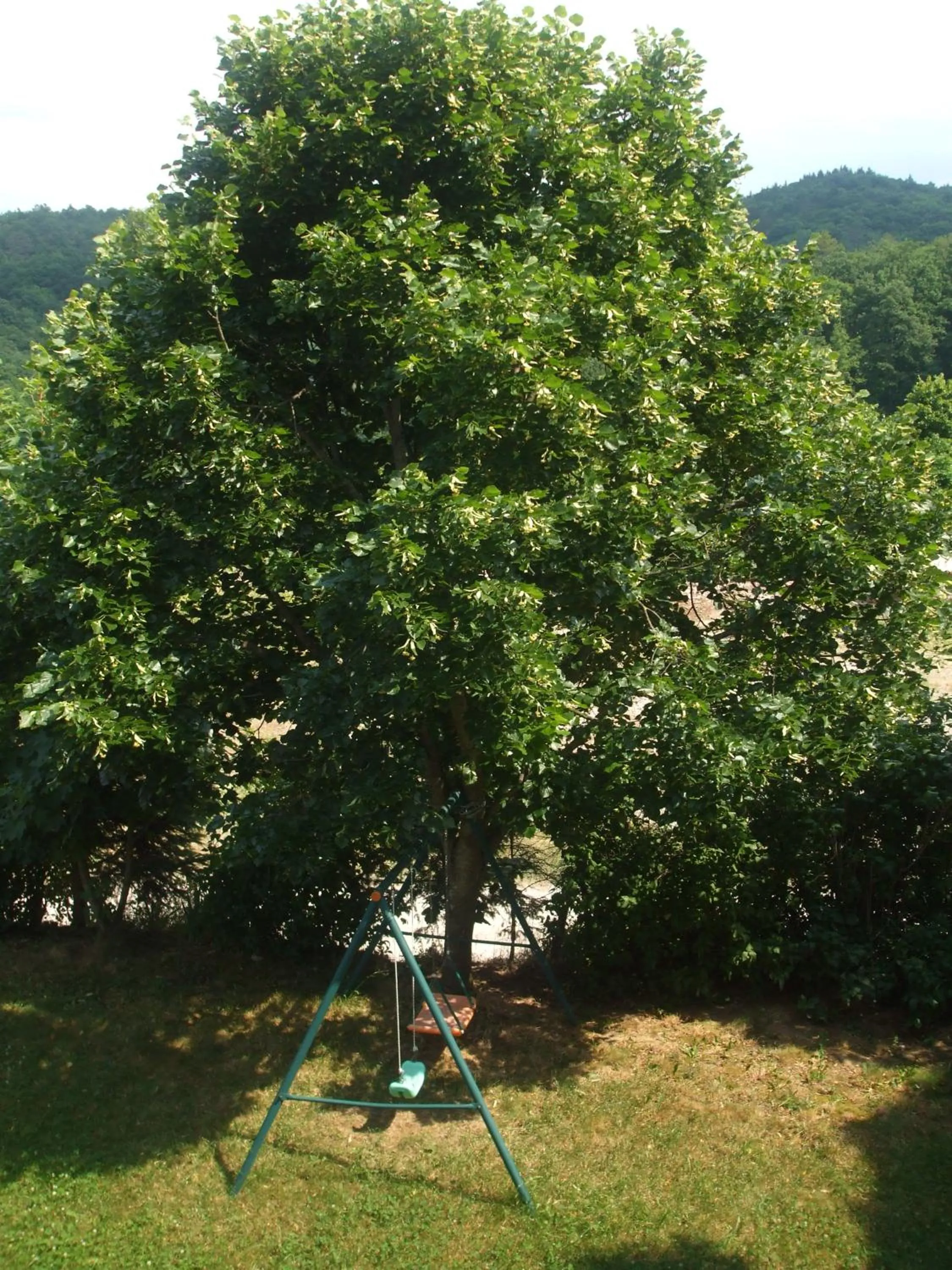Garden in Osterija Na Planinci
